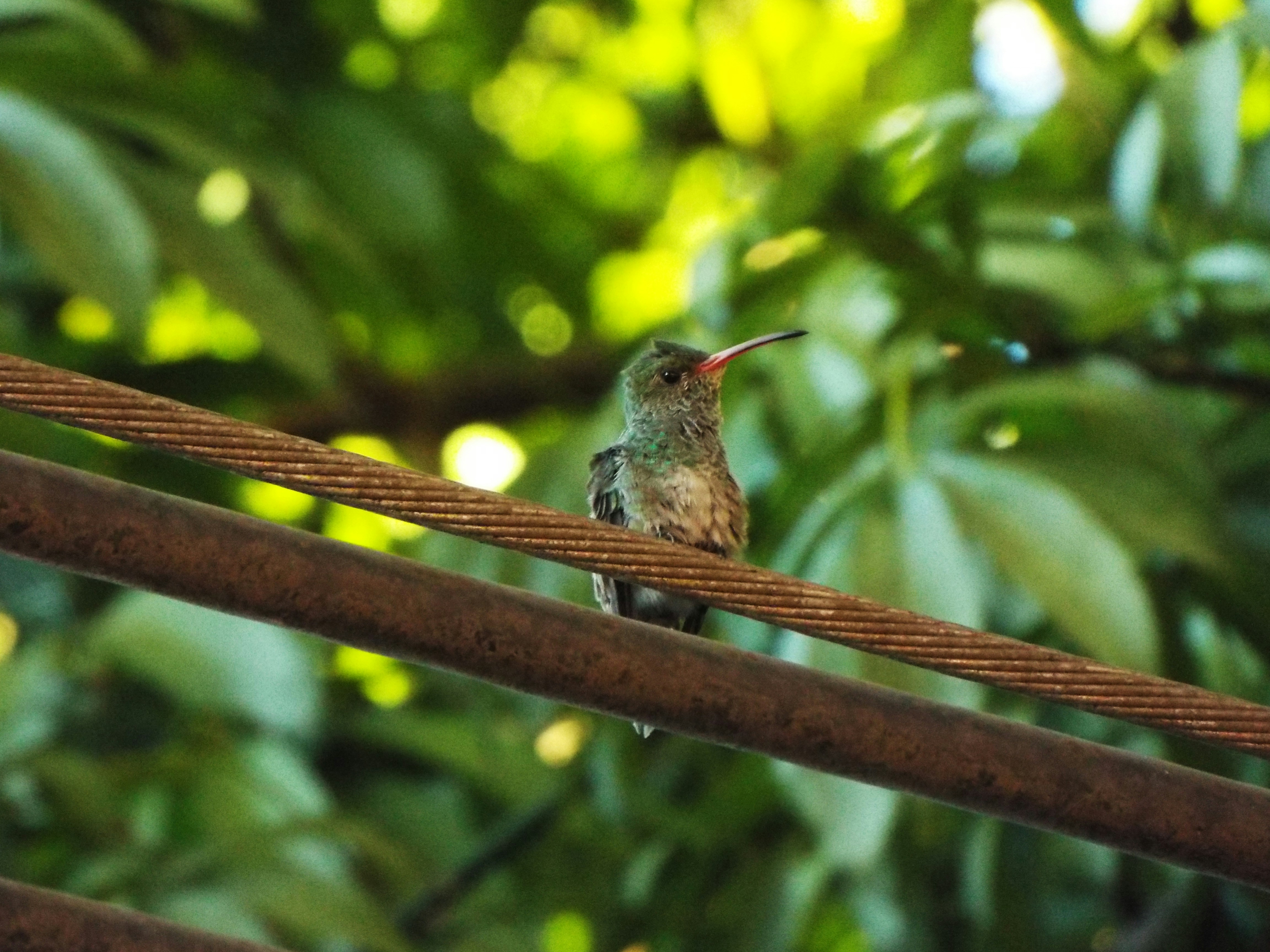 Photo by fundrisingformysonmedicalcondition