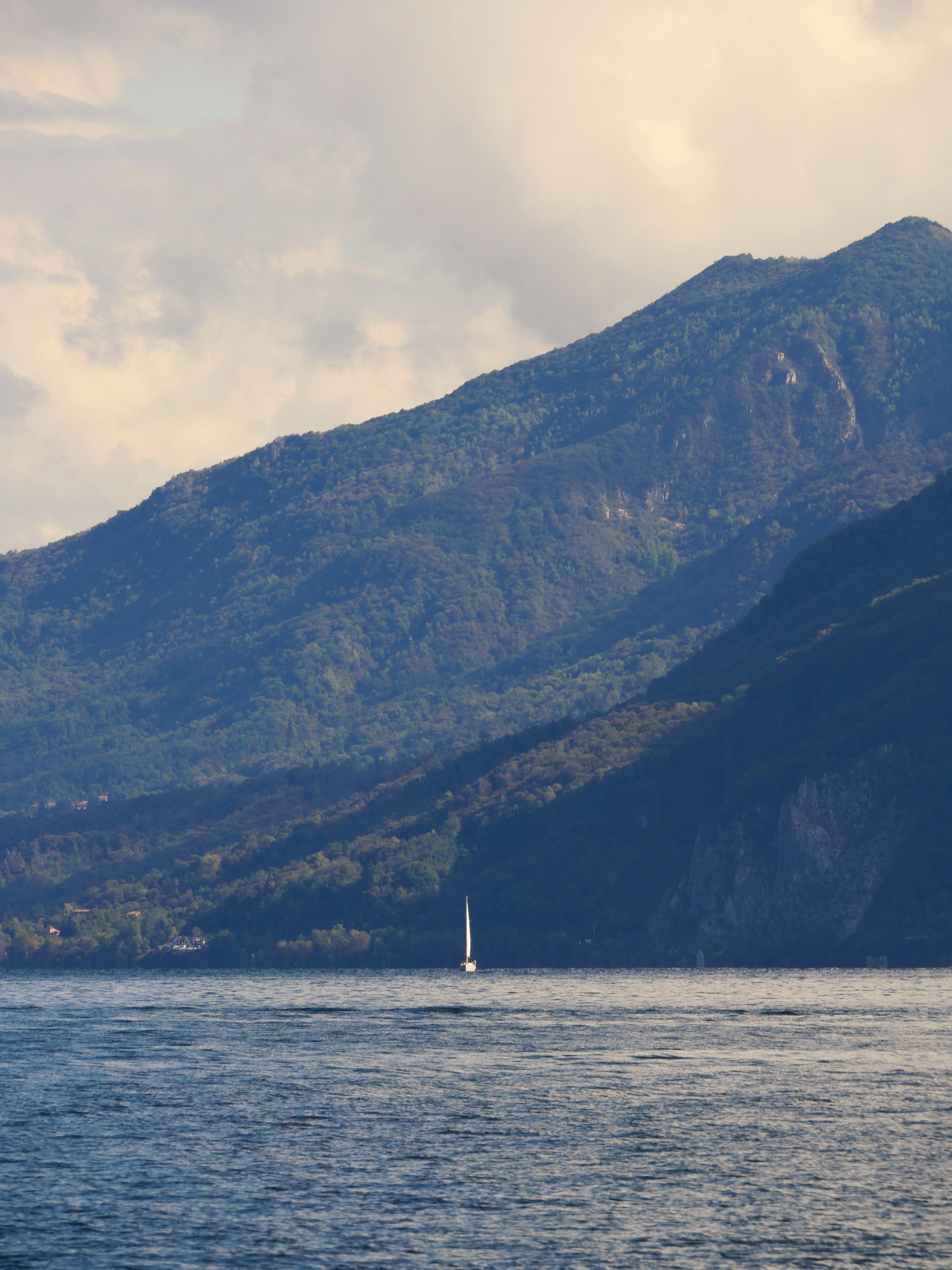 Photo by nimbus_vulpis