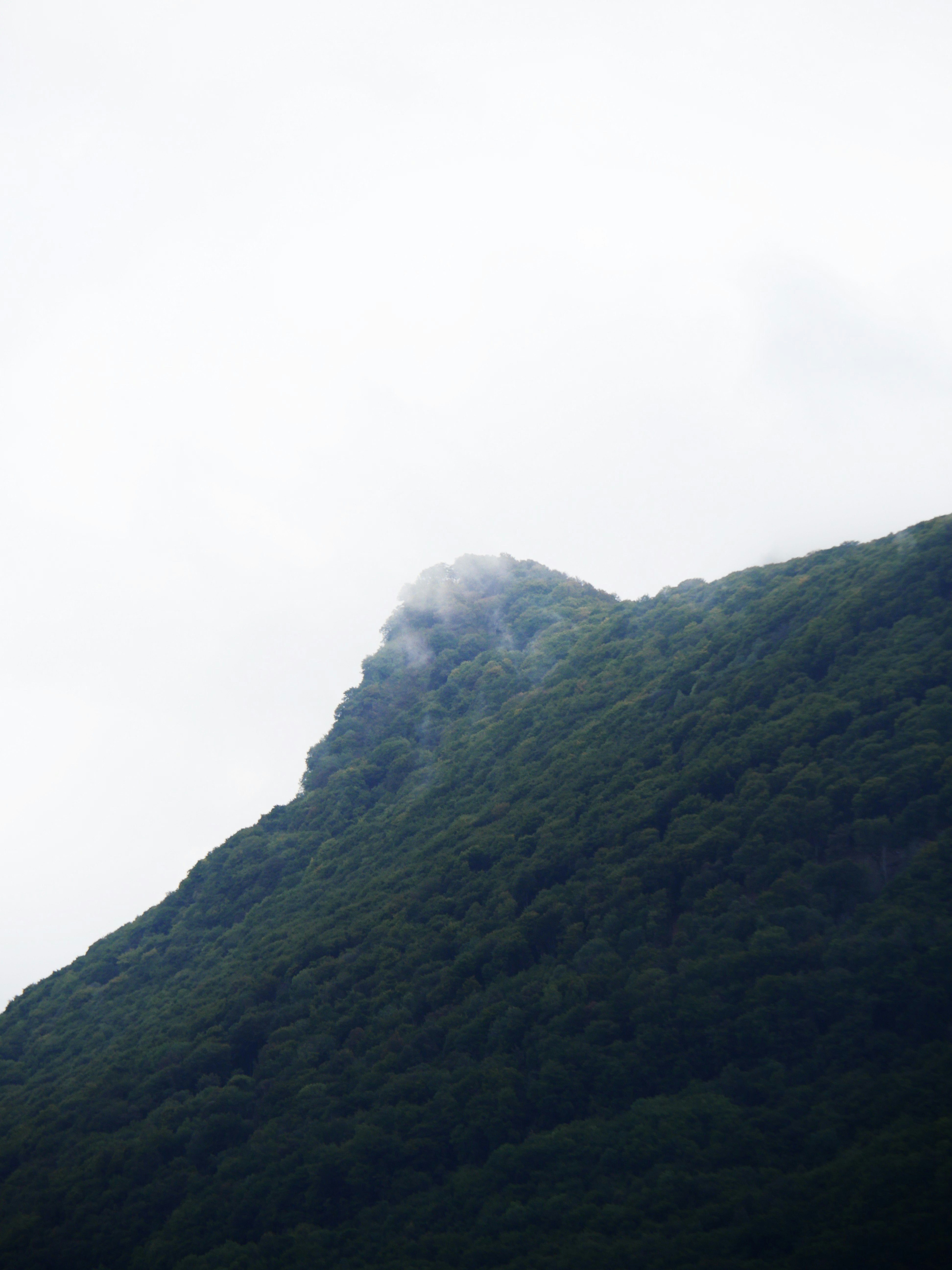 Photo by nimbus_vulpis