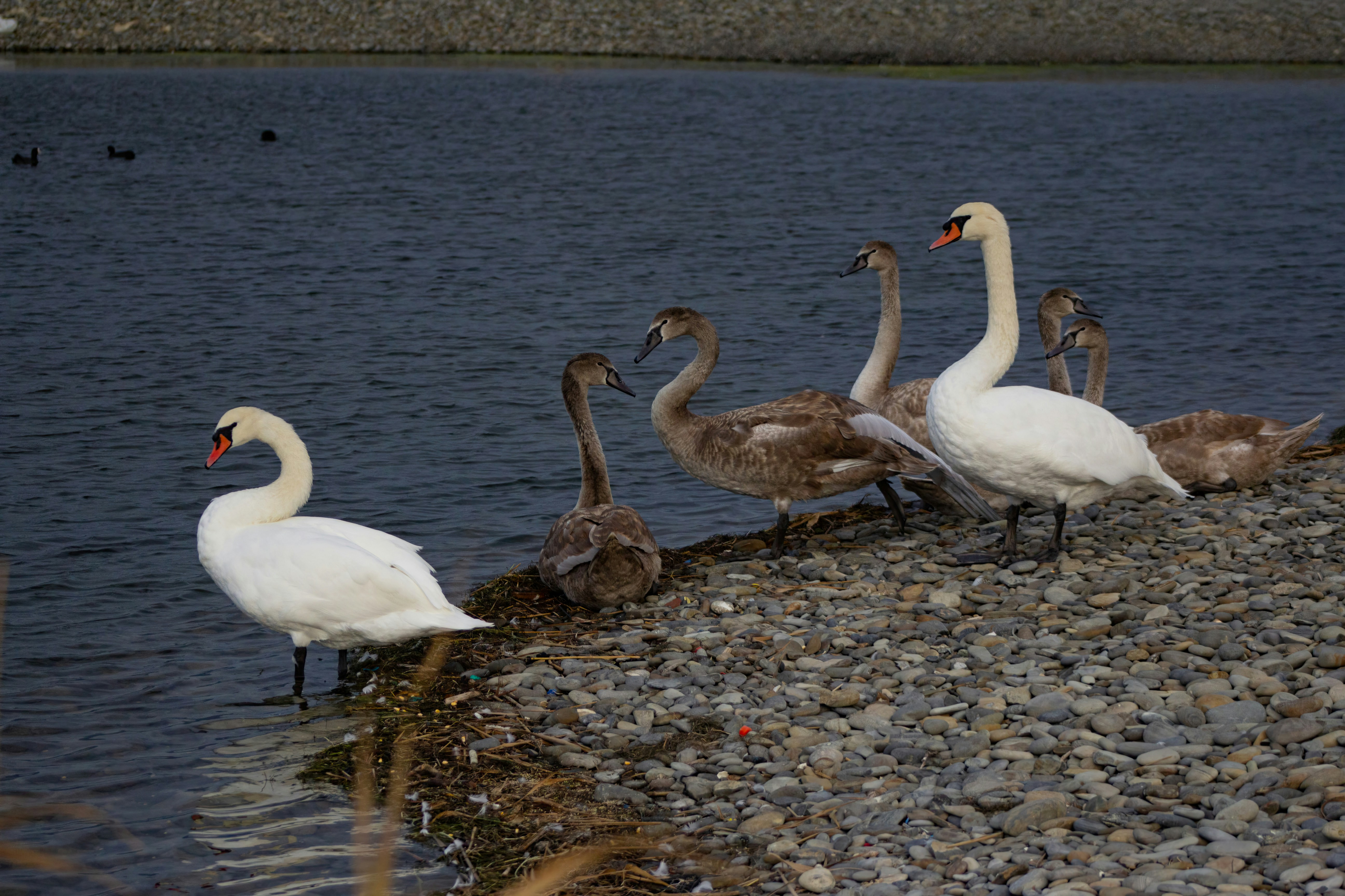 Photo by stepan_konev