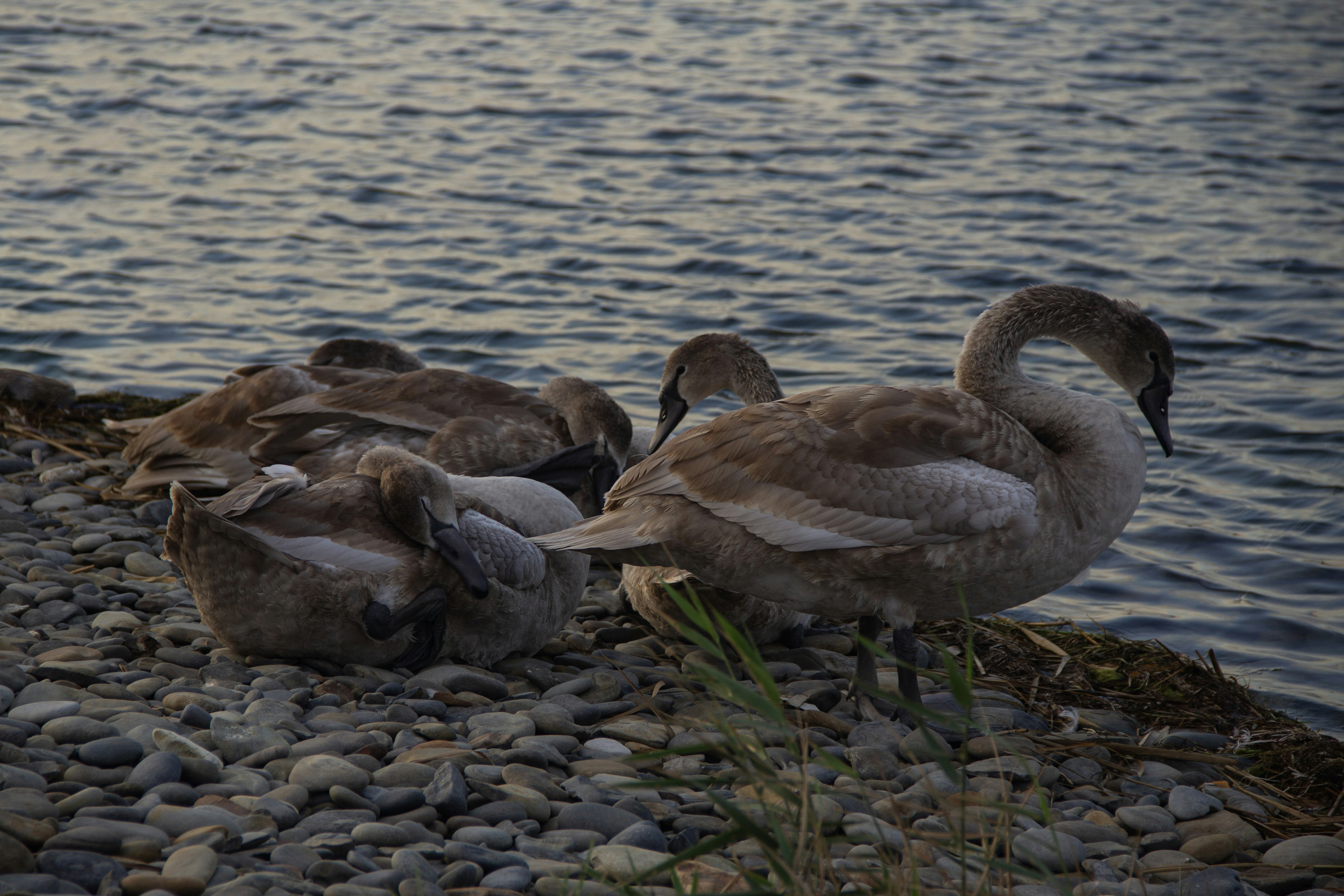 Photo by stepan_konev