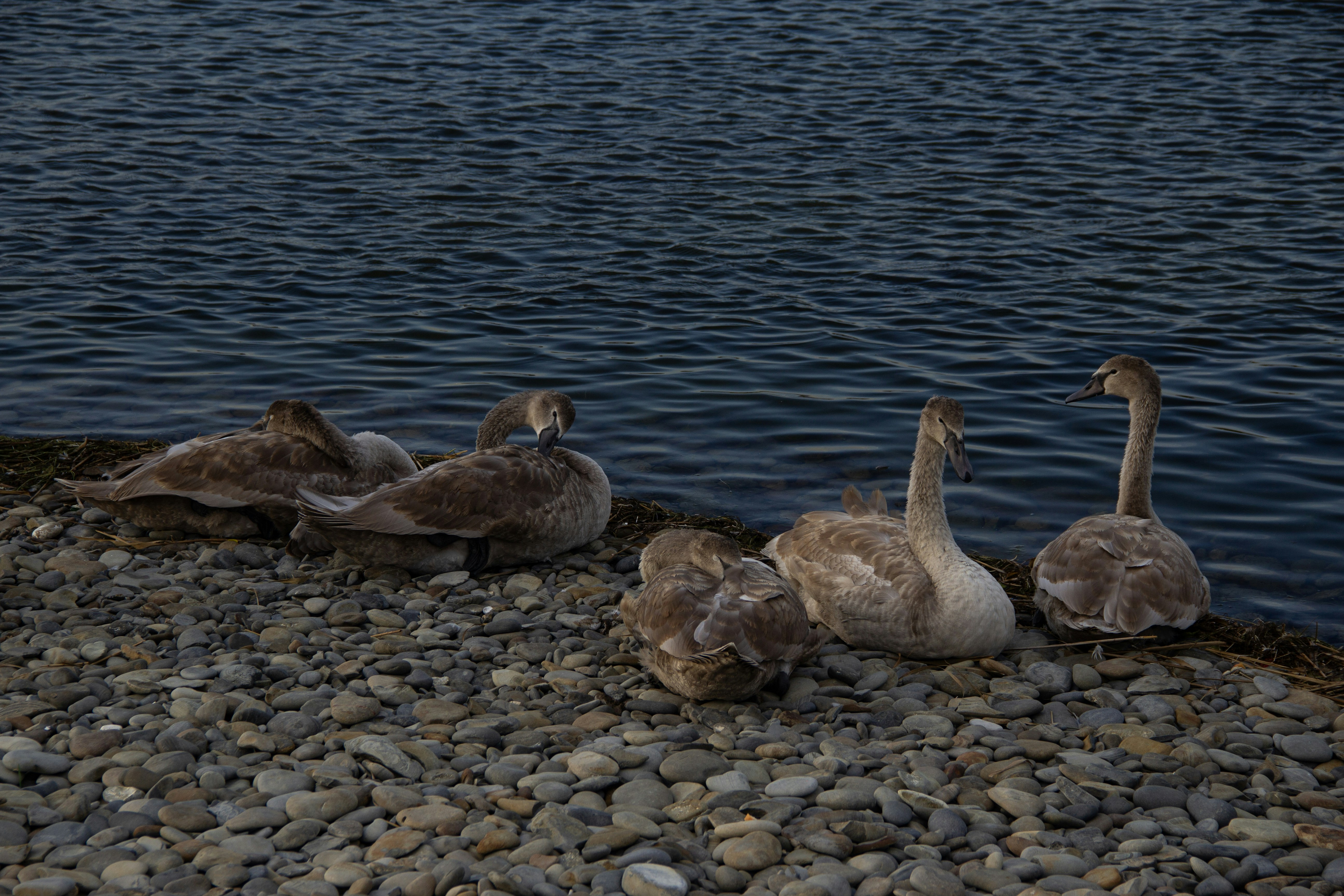 Photo by stepan_konev