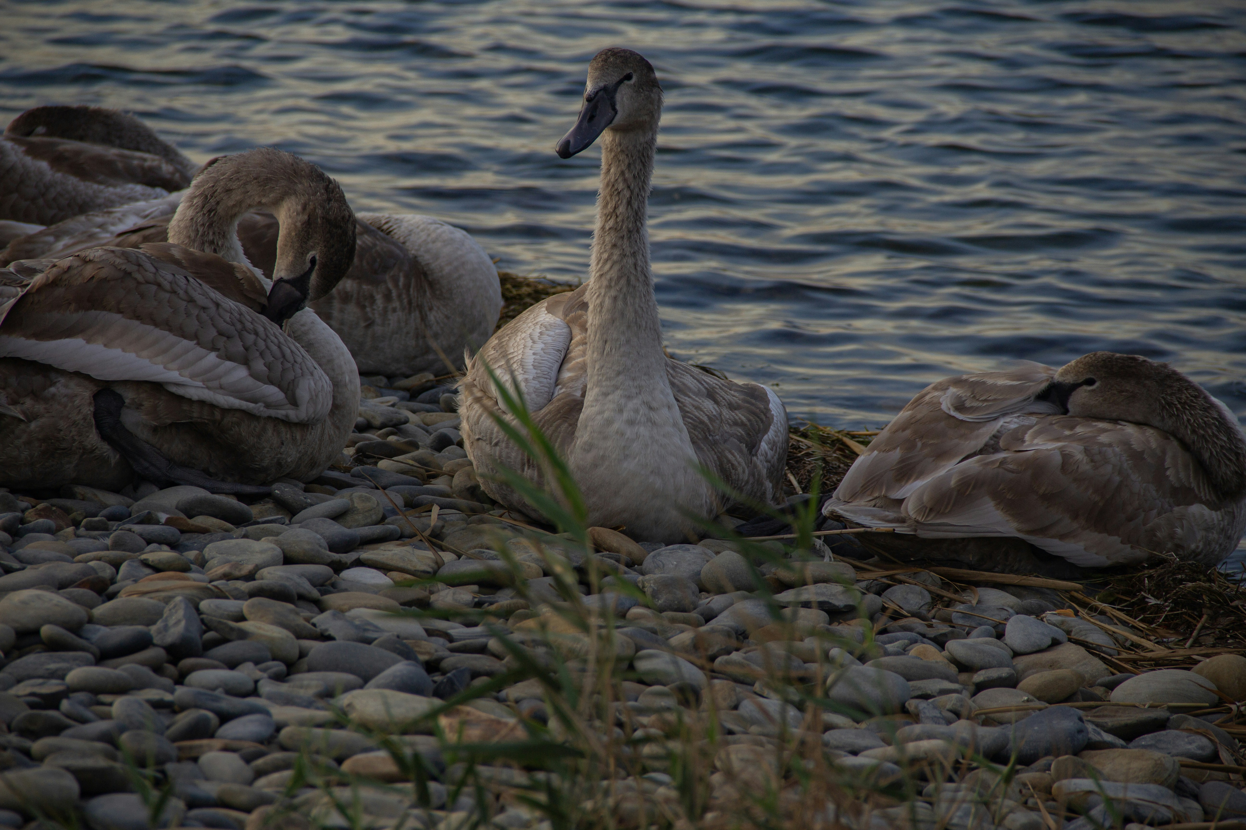 Photo by stepan_konev