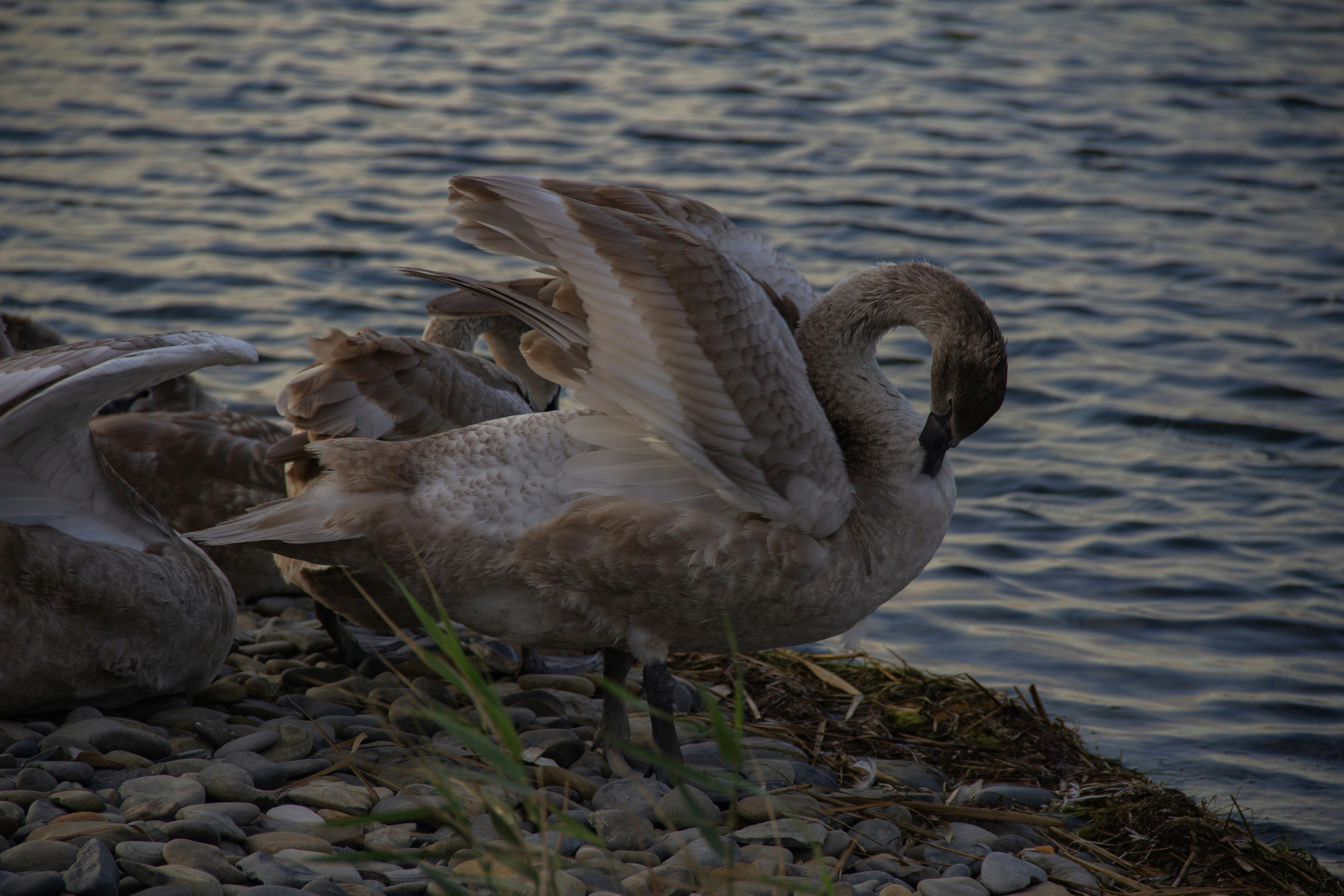 Photo by stepan_konev