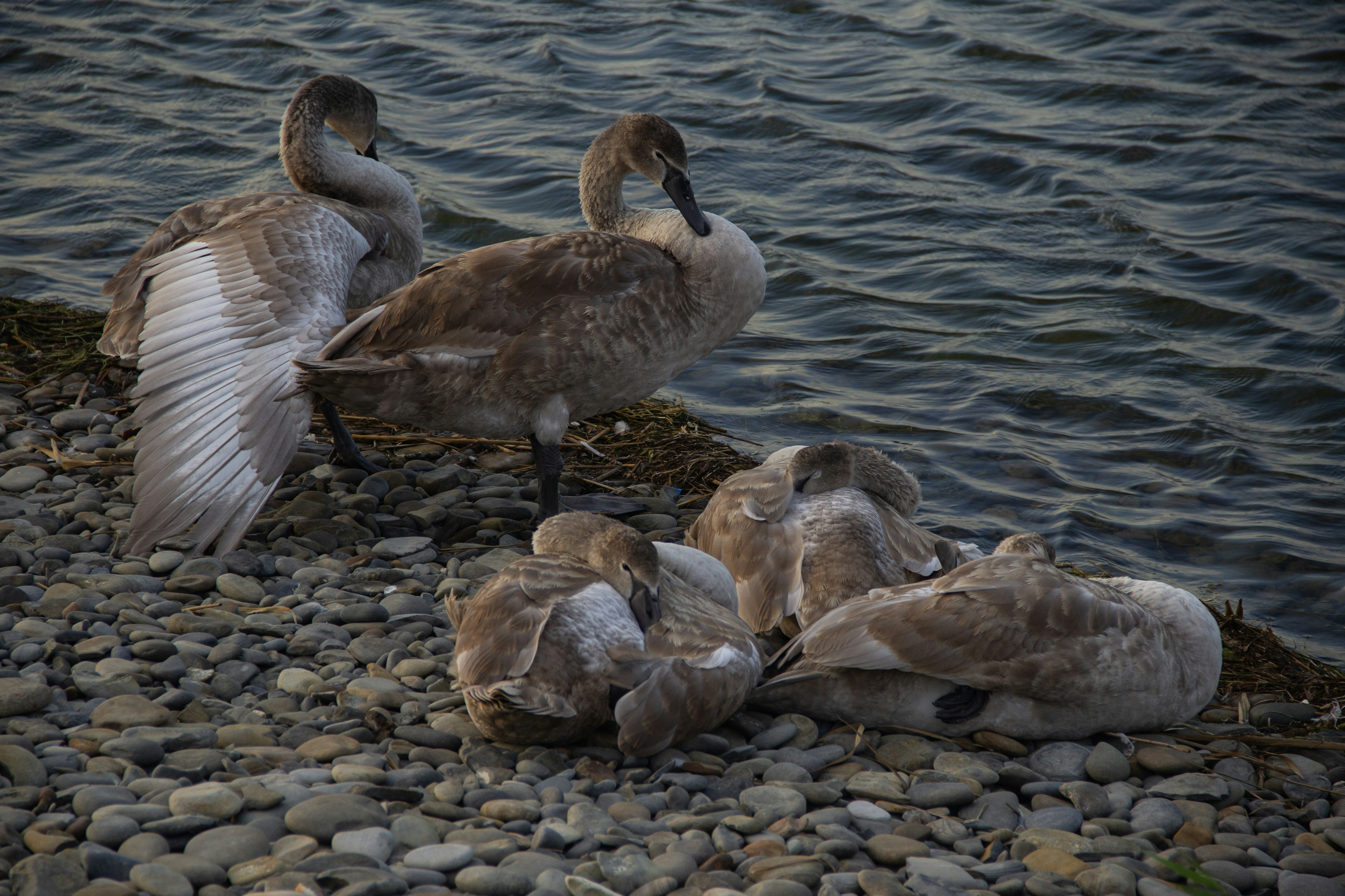 Photo by stepan_konev