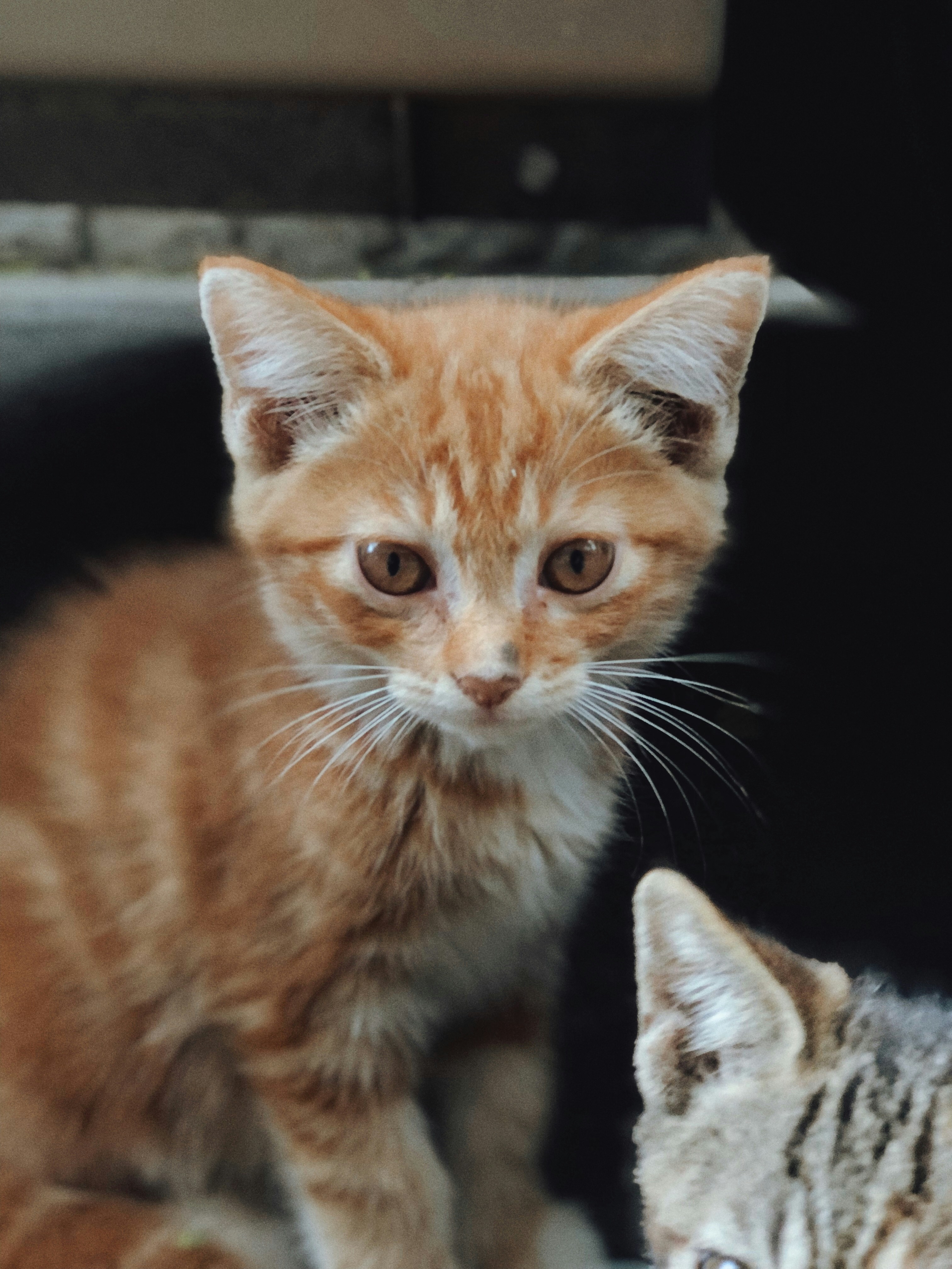 Photo by everything23