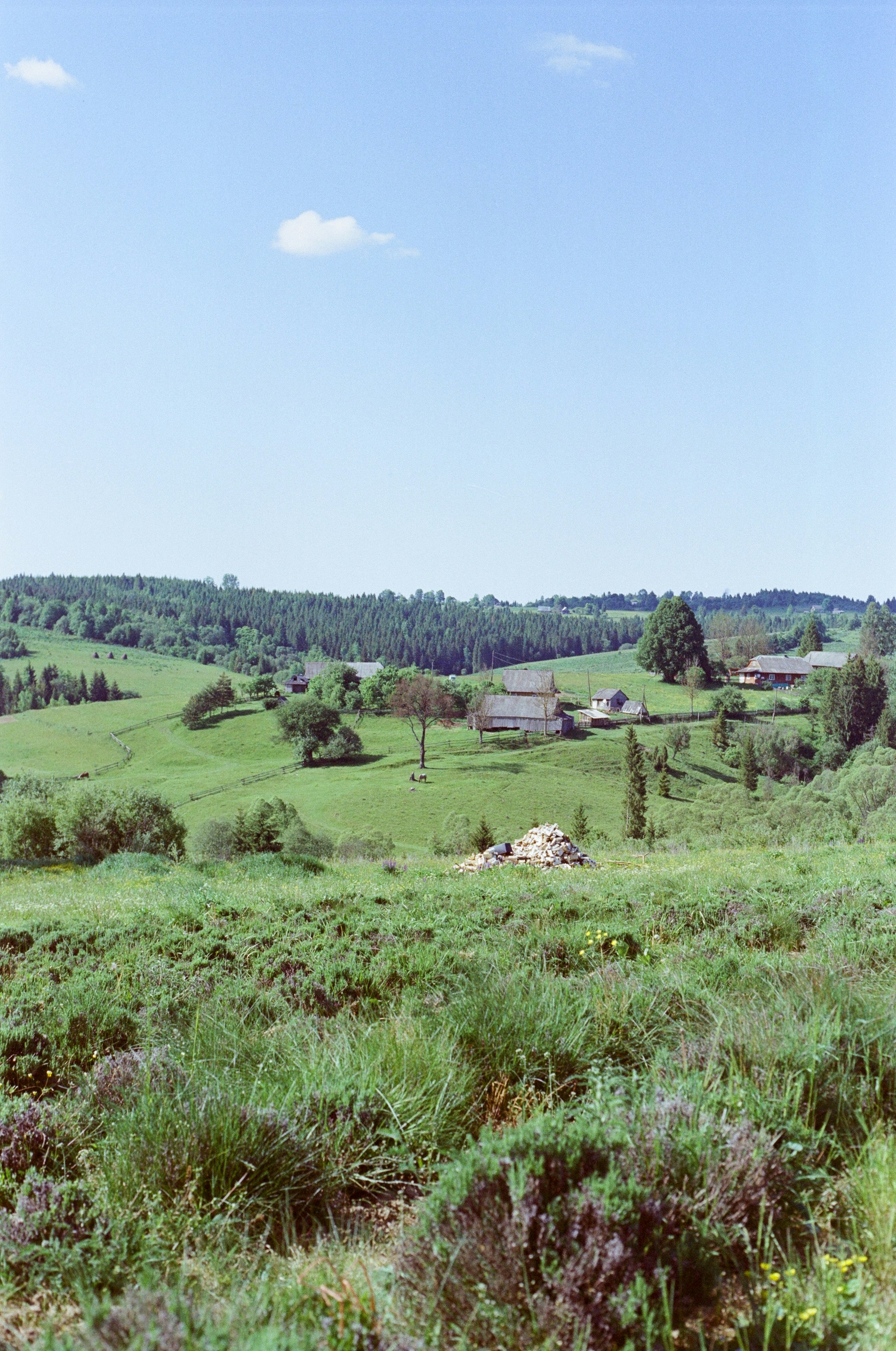 A lush green field with houses in the distance photo – Free Grass Image ...