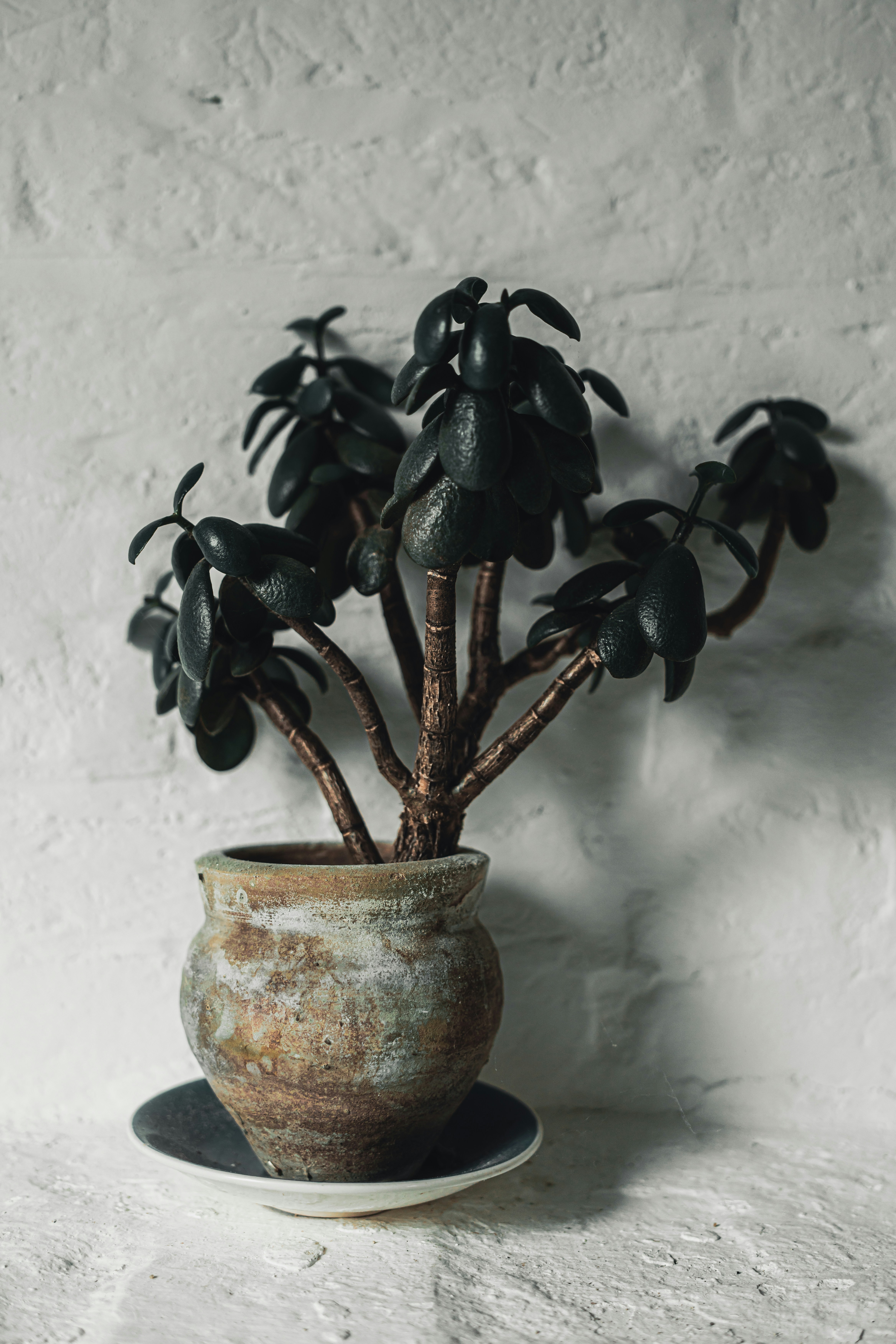 Photo by alexisnthere_