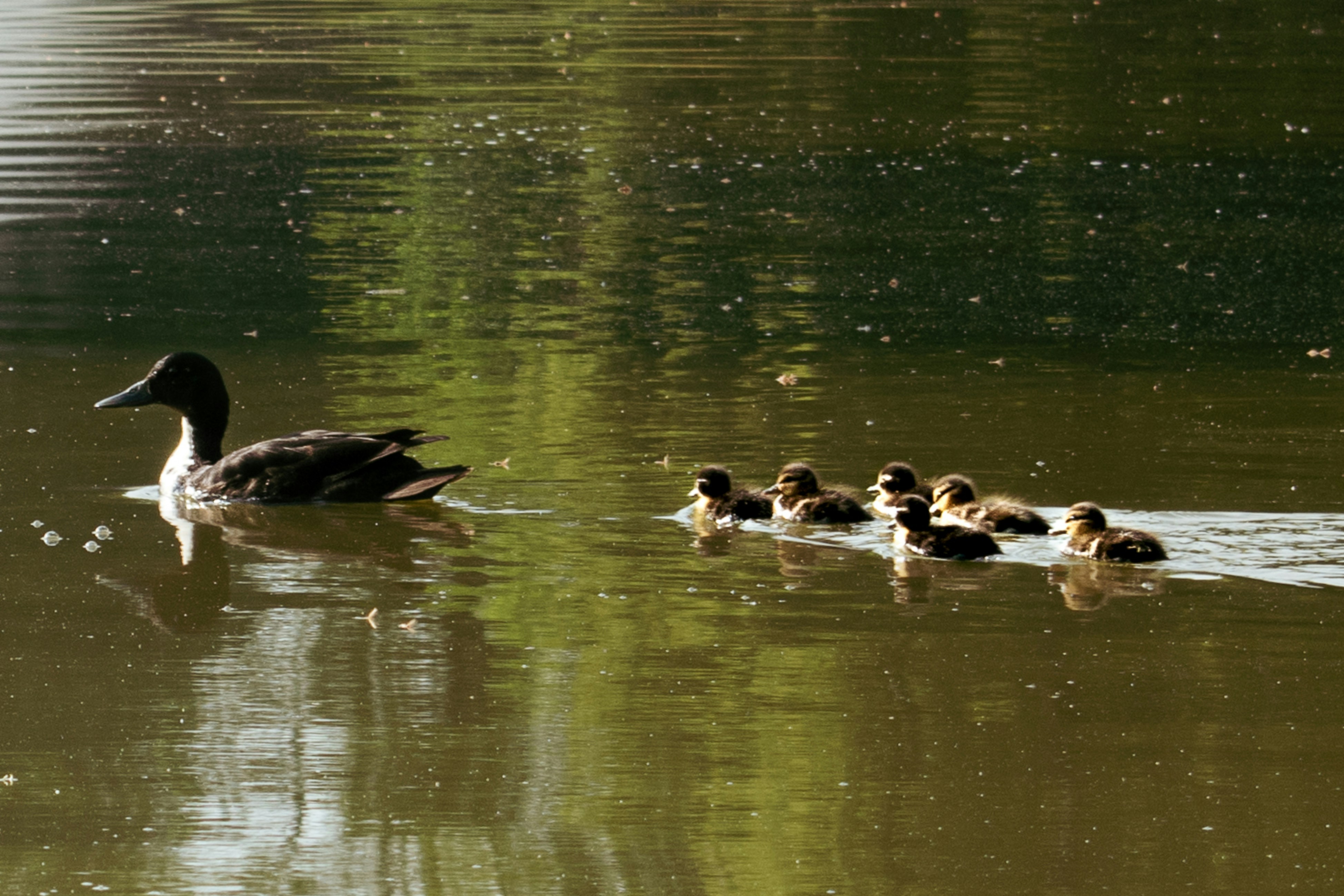 Photo by colorful_jelly