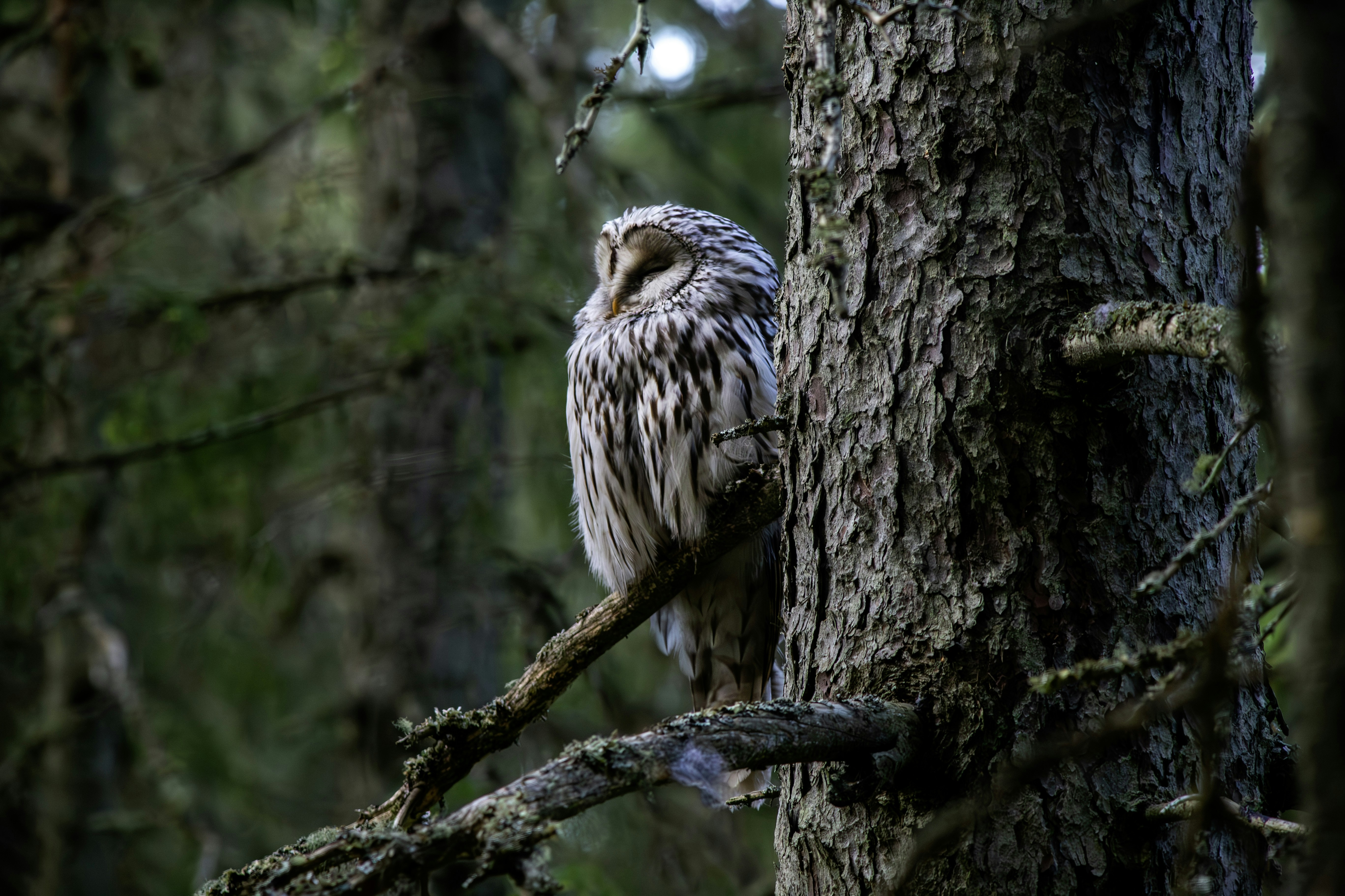 Photo by erik_karits