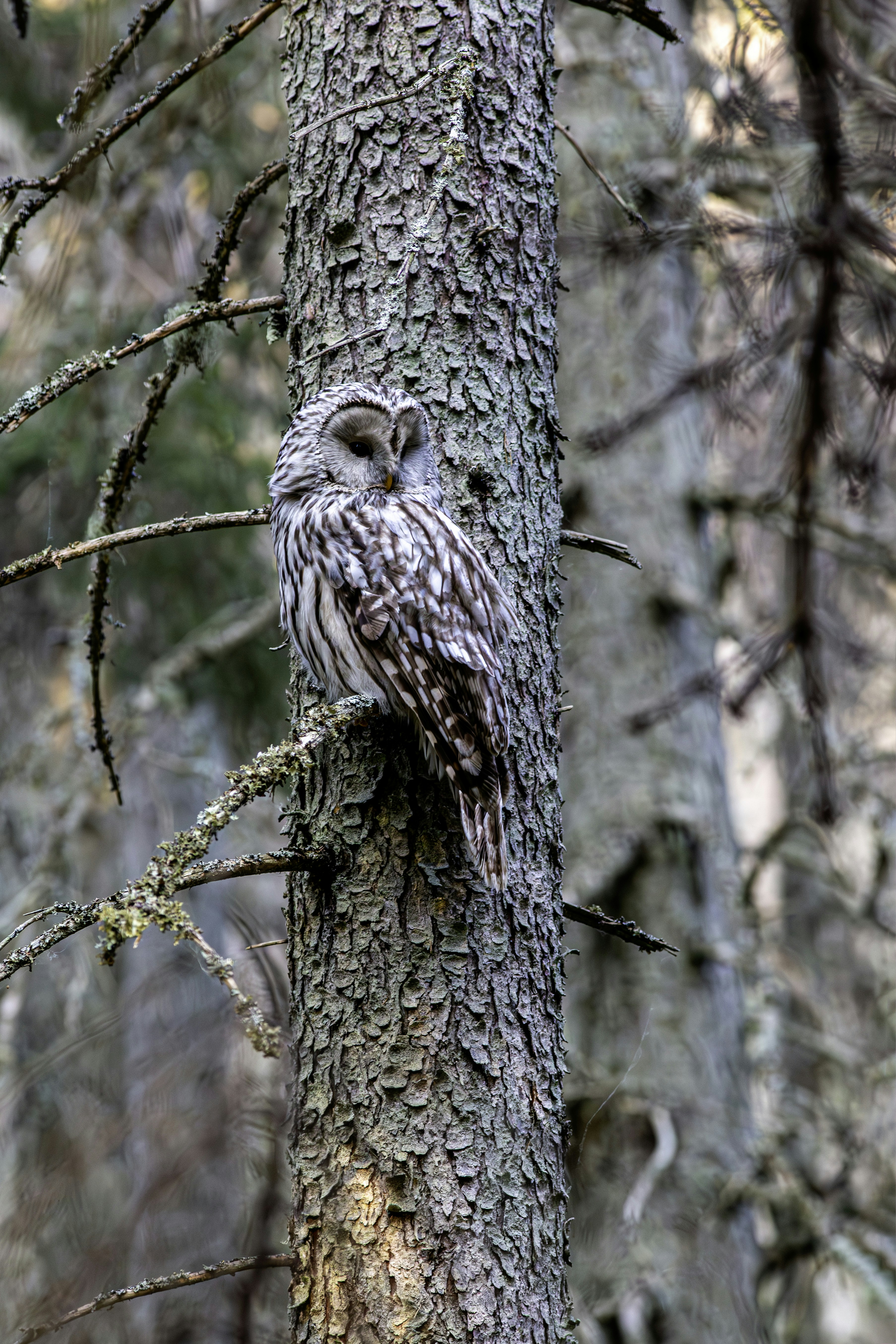 Photo by erik_karits