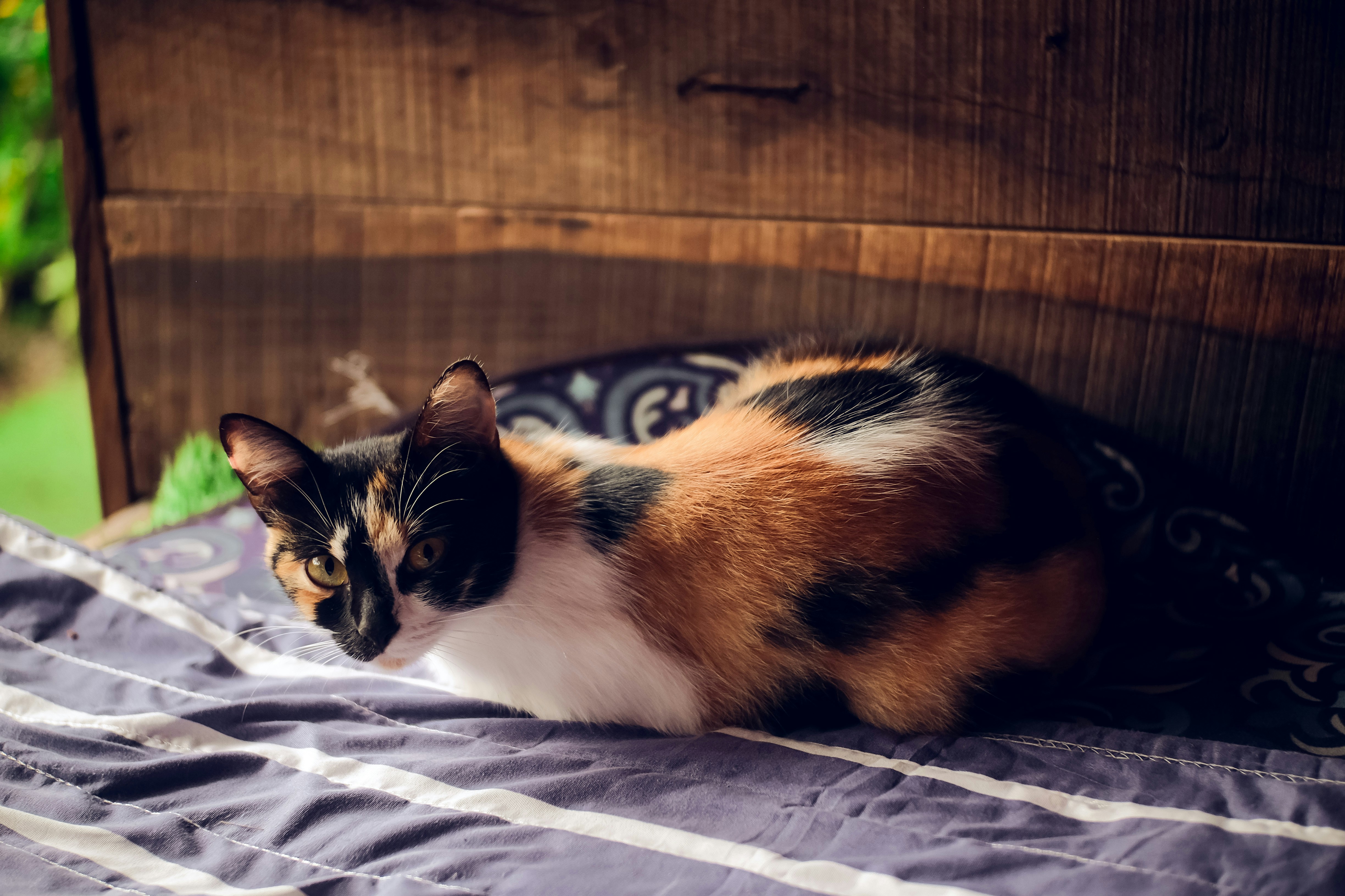 Photo by binhnguyen3033