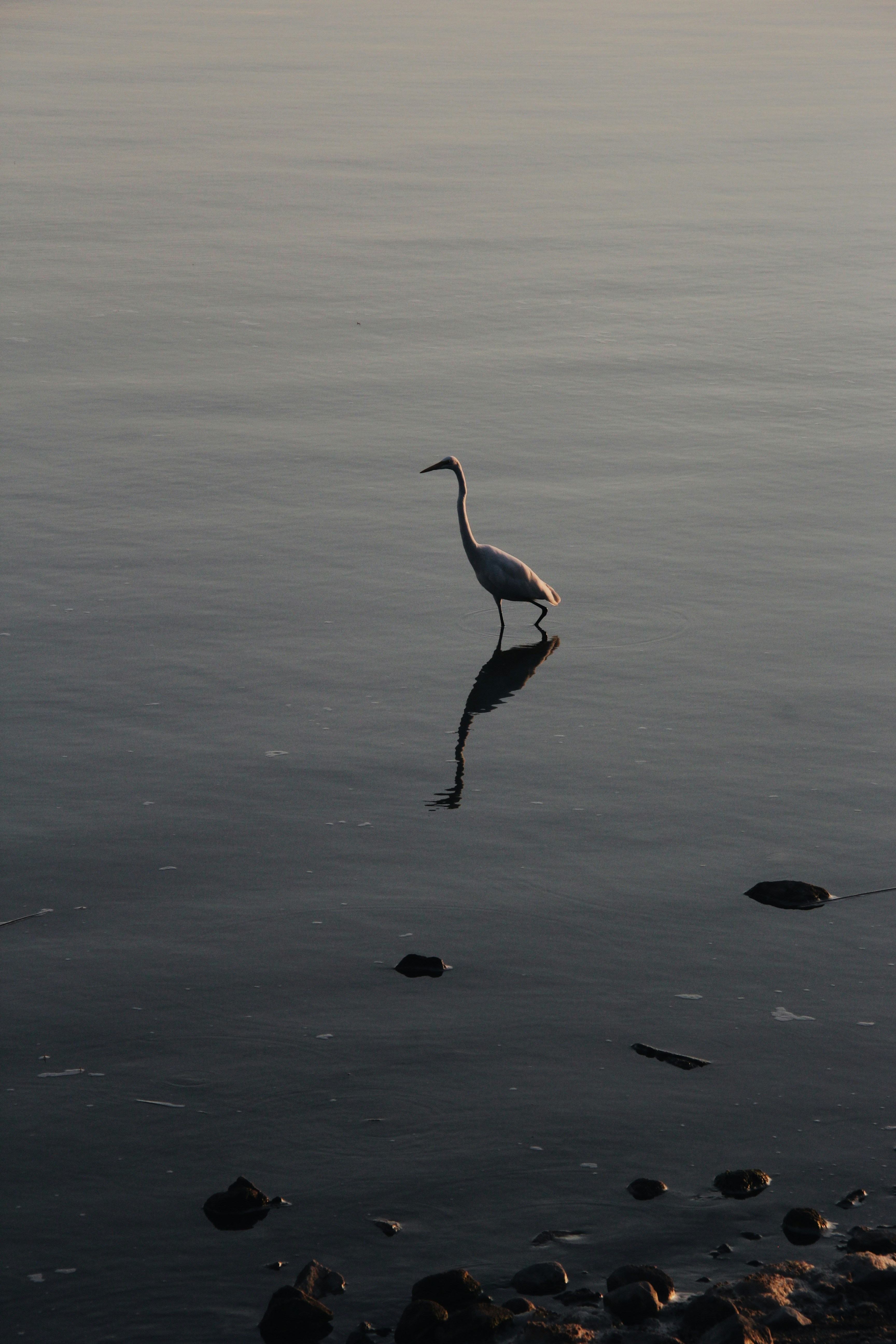 Photo by sofiamejiach