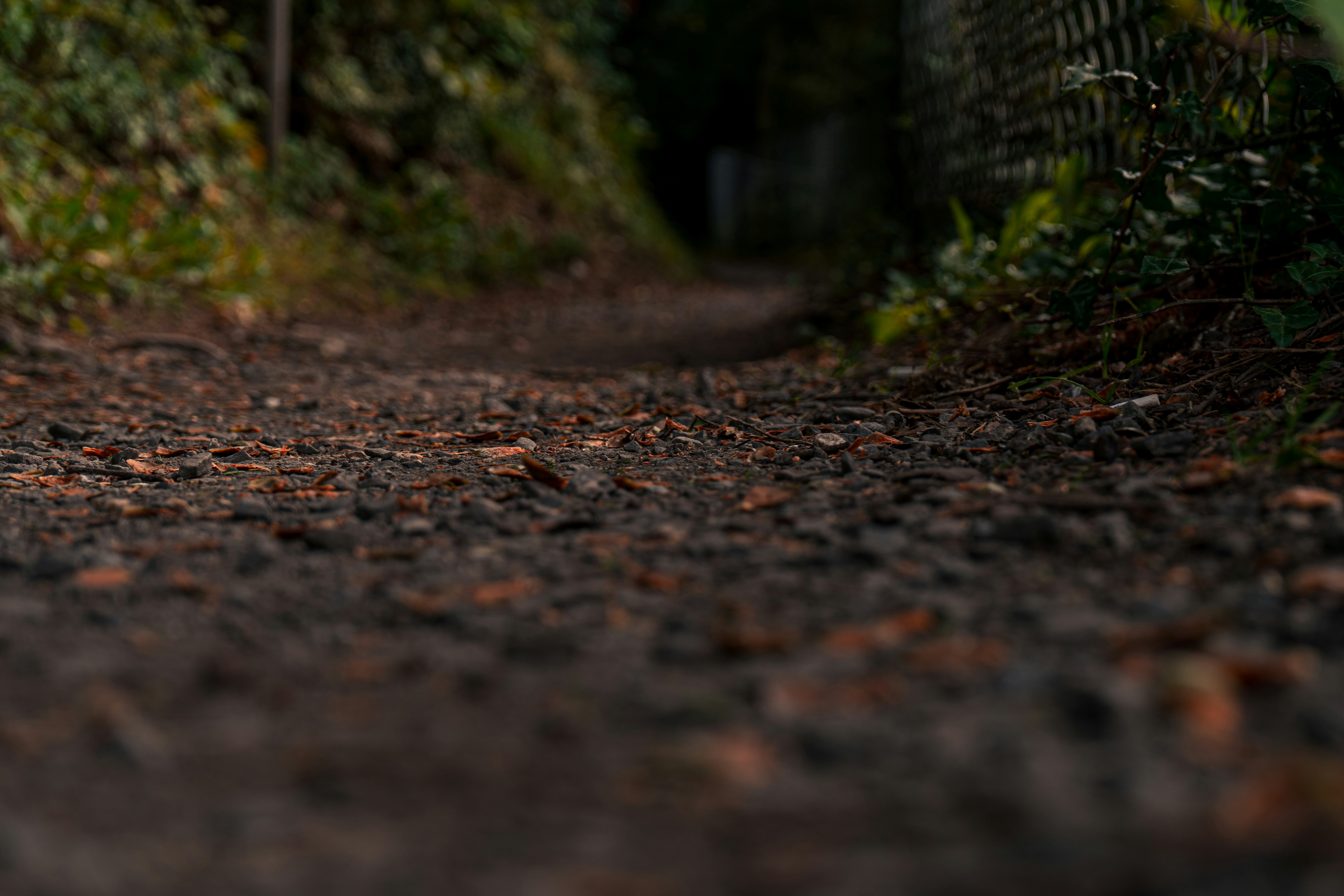 Photo by oconnorstudios