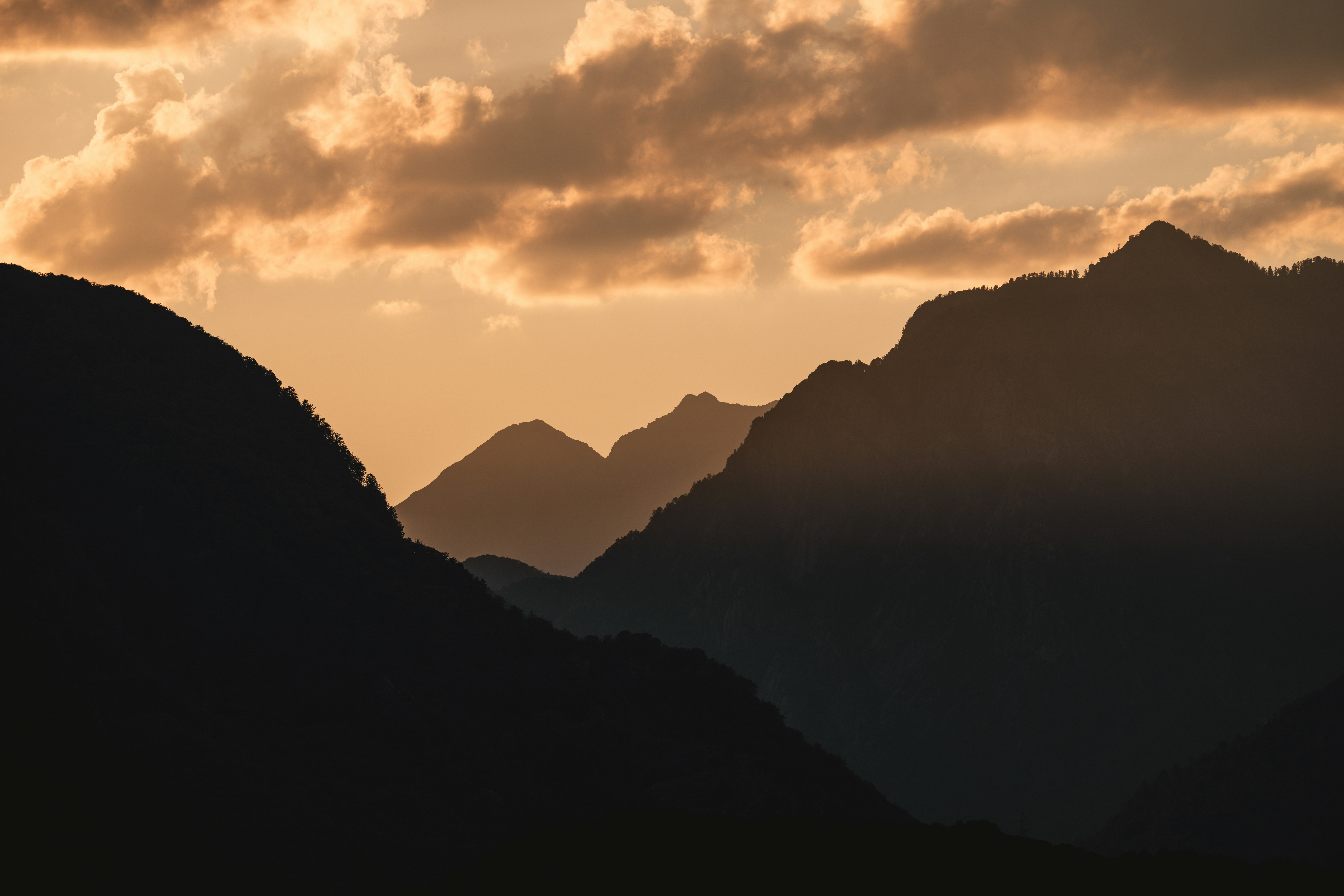 가족 간 부동산 거래 시 저가 양도에 대한 정확한 기준은 무엇인가?