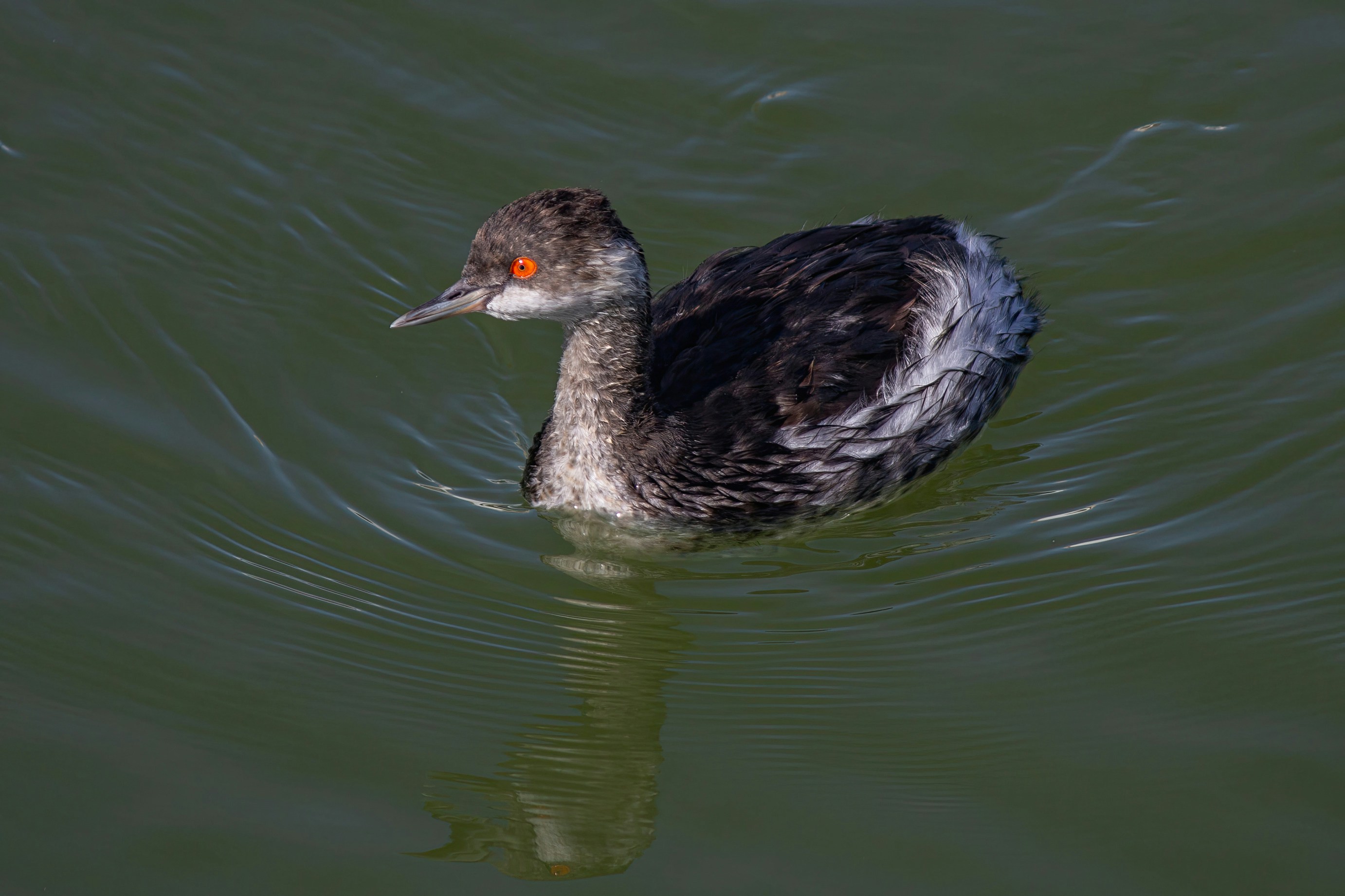 Photo by stepan_konev