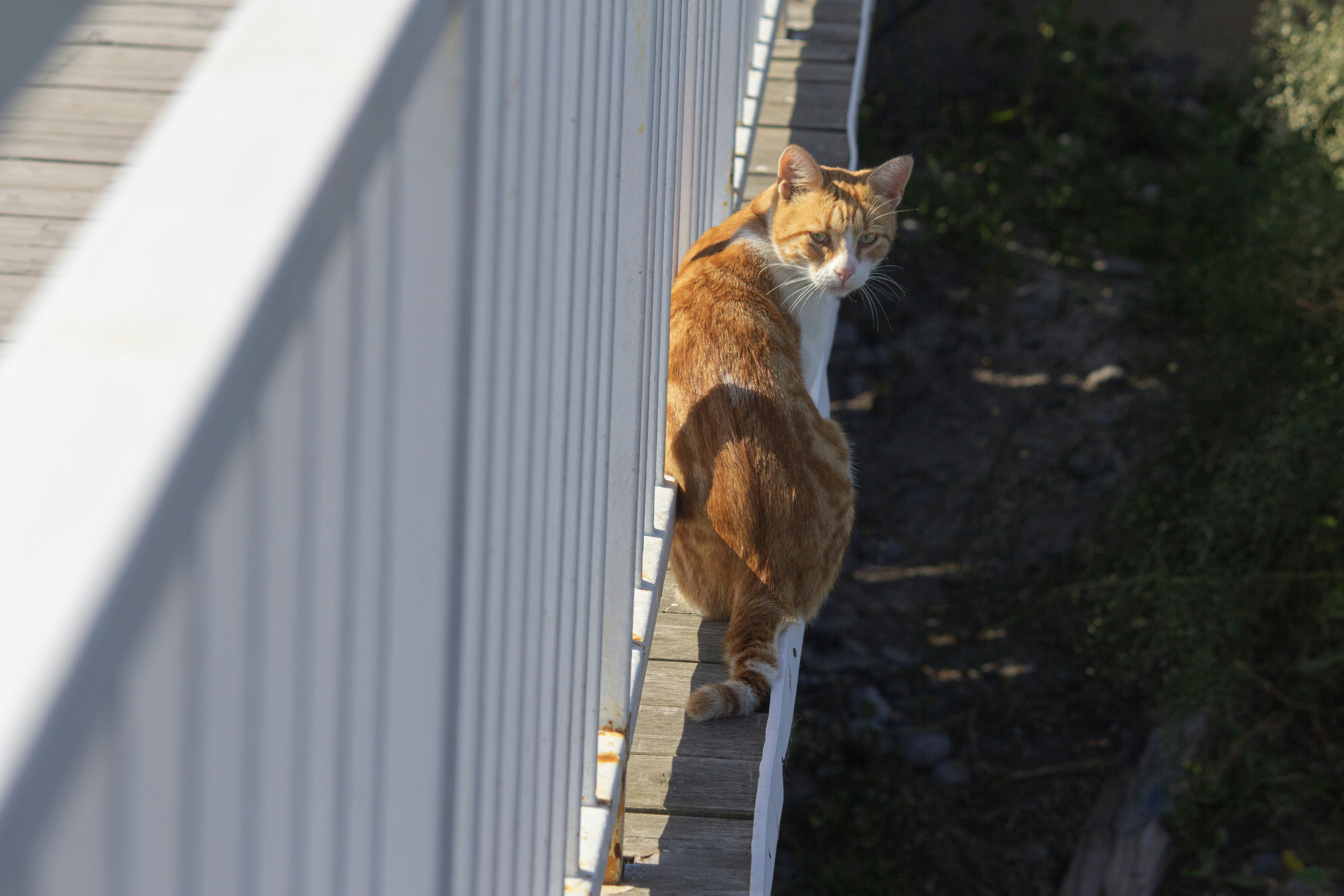 Photo by stepan_konev