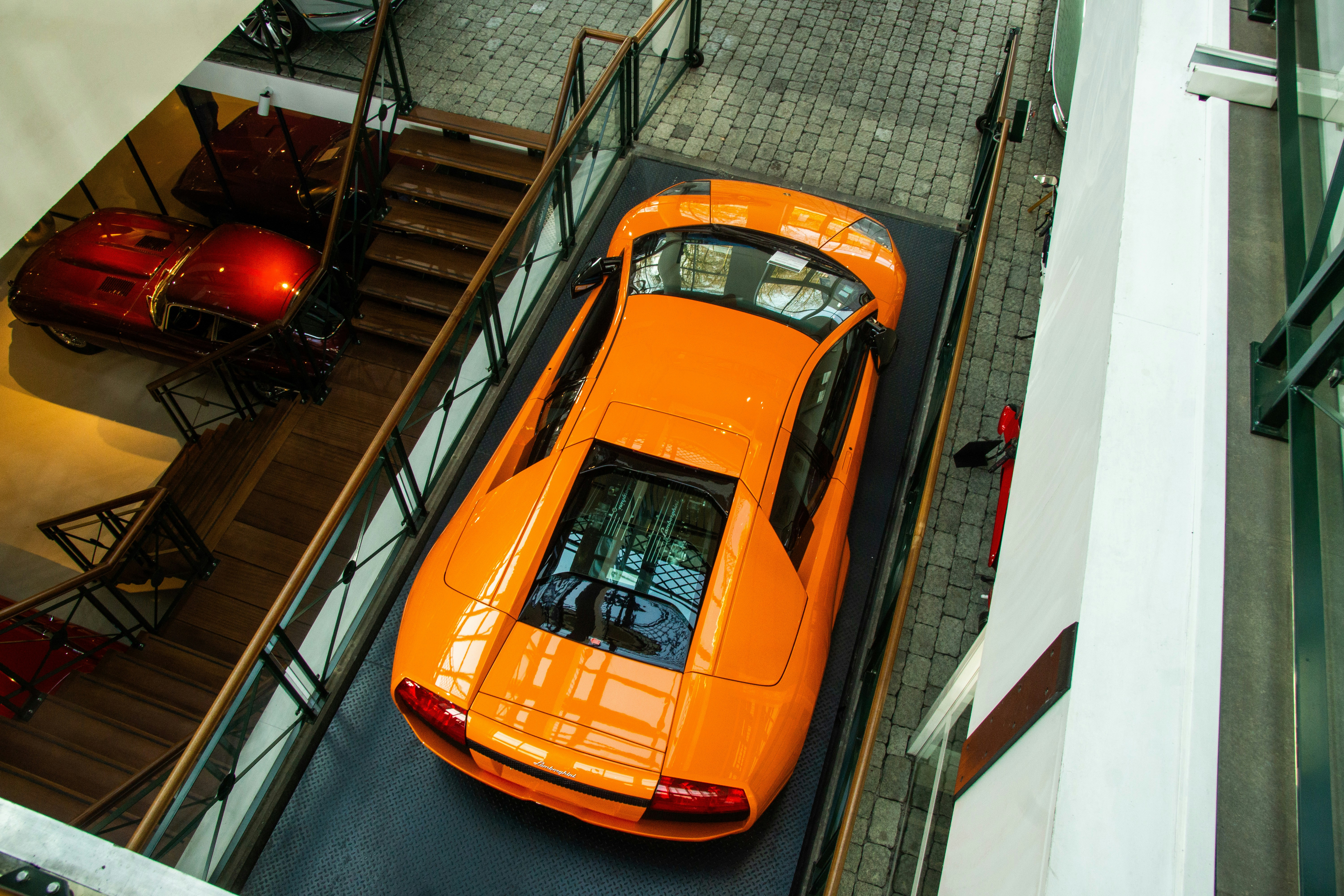 Murcielago