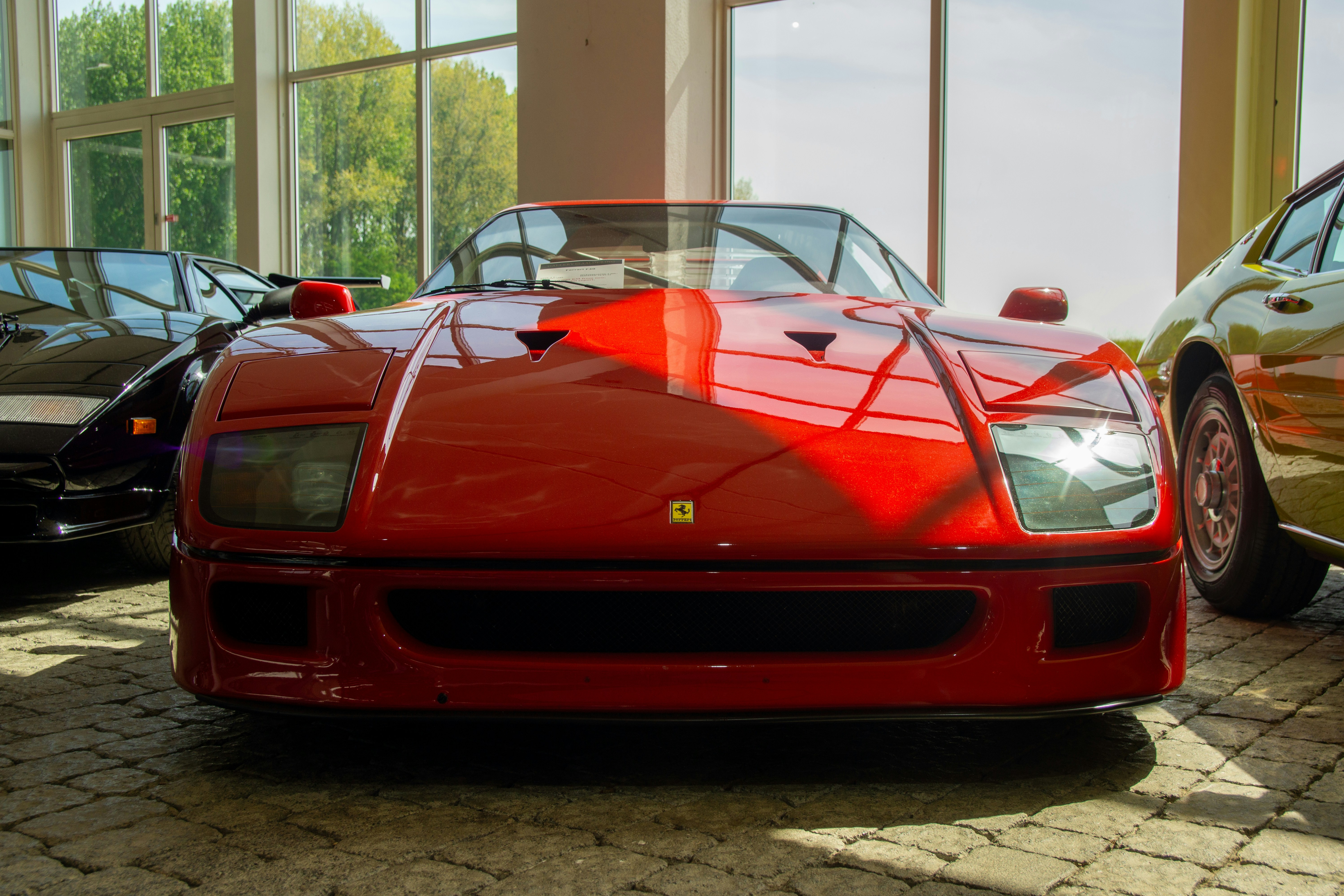 Photo by luxunderscore