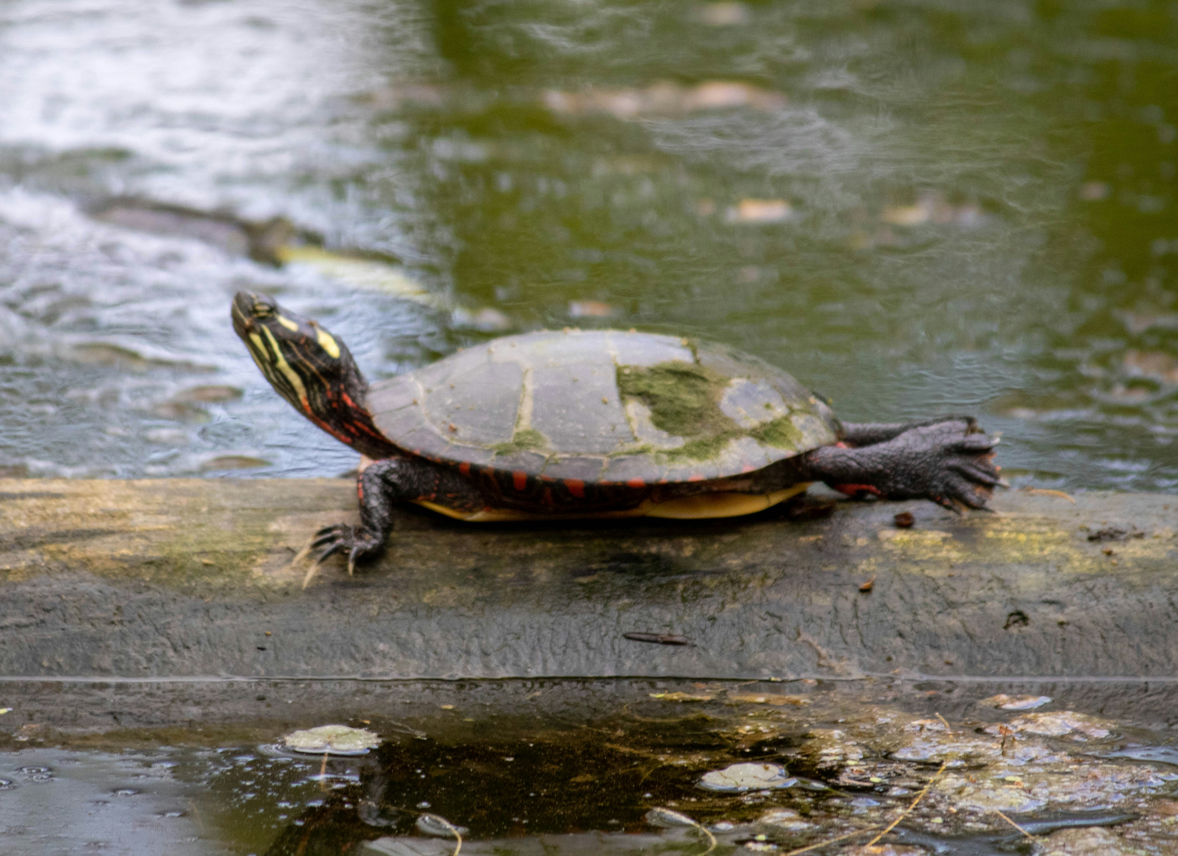 Photo by dwaynephotos10