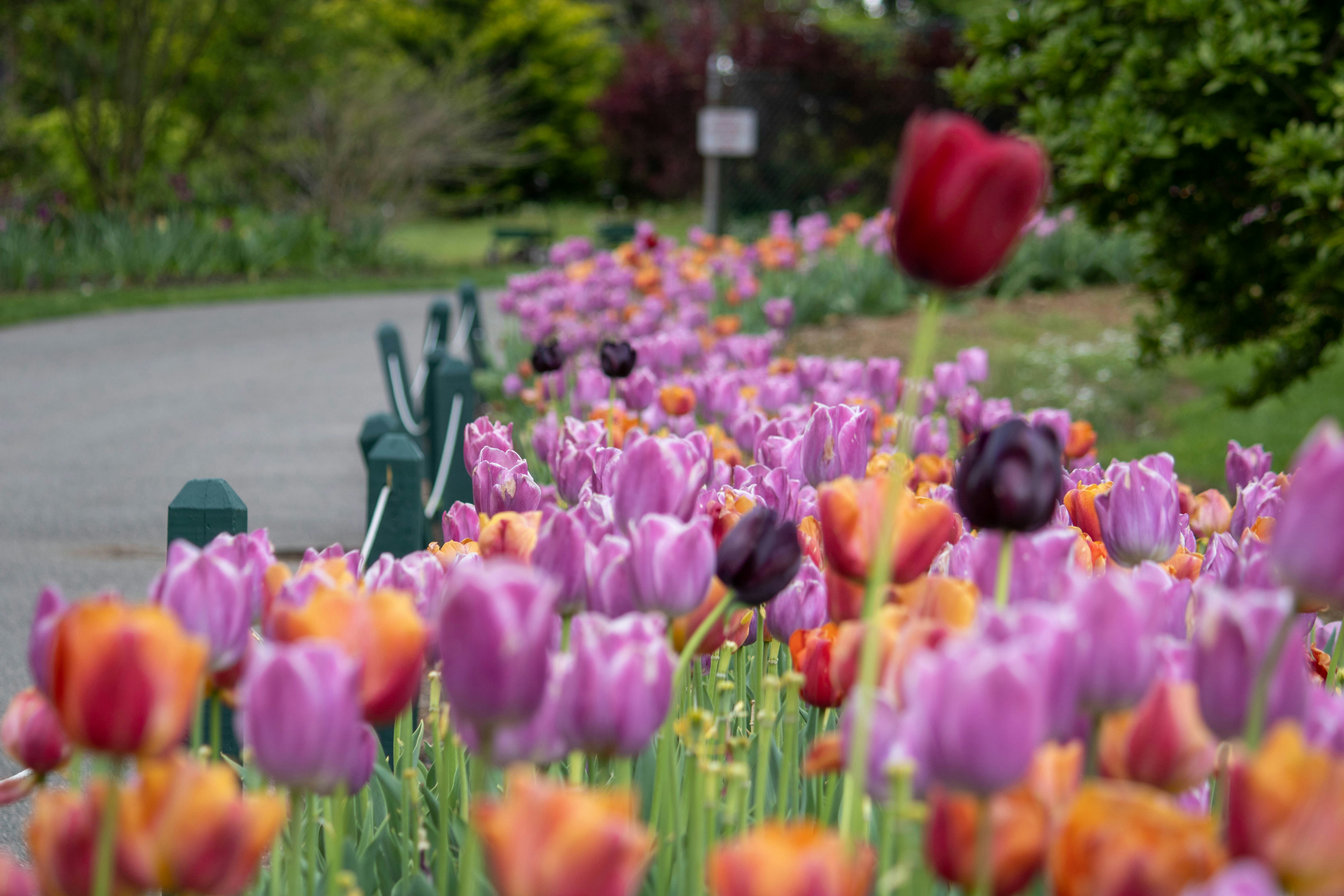 Photo by dwaynephotos10