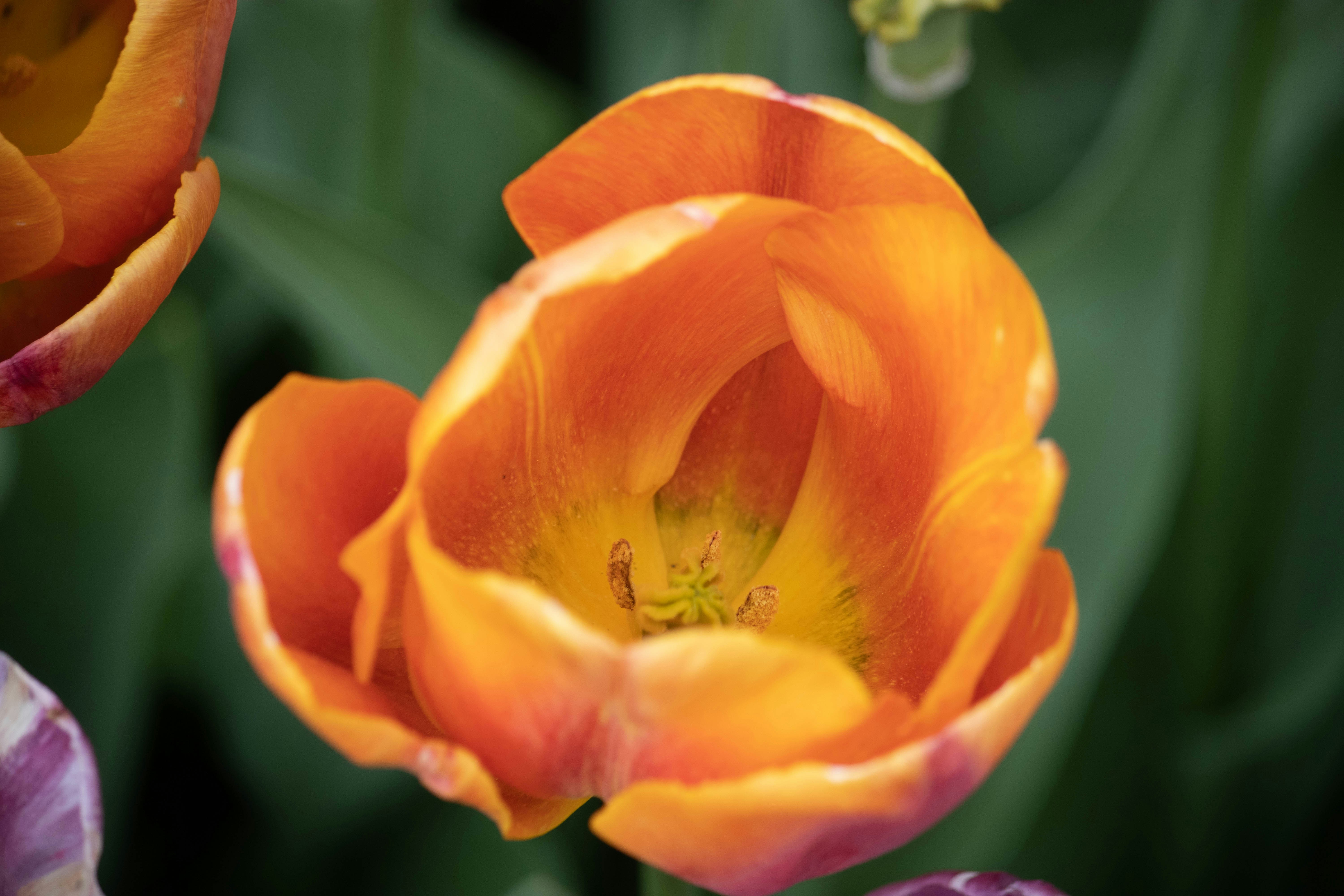 Photo by dwaynephotos10