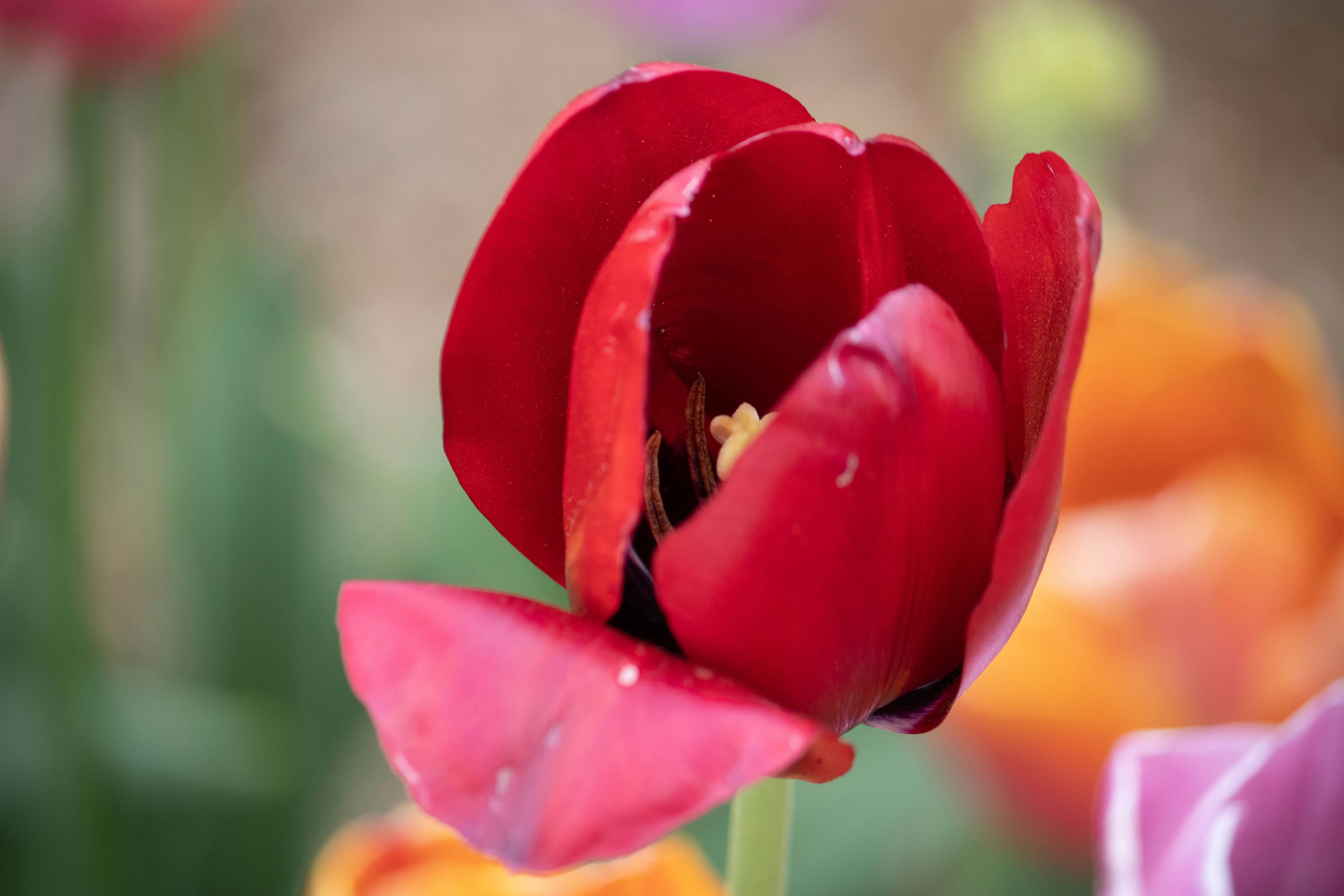 Photo by dwaynephotos10