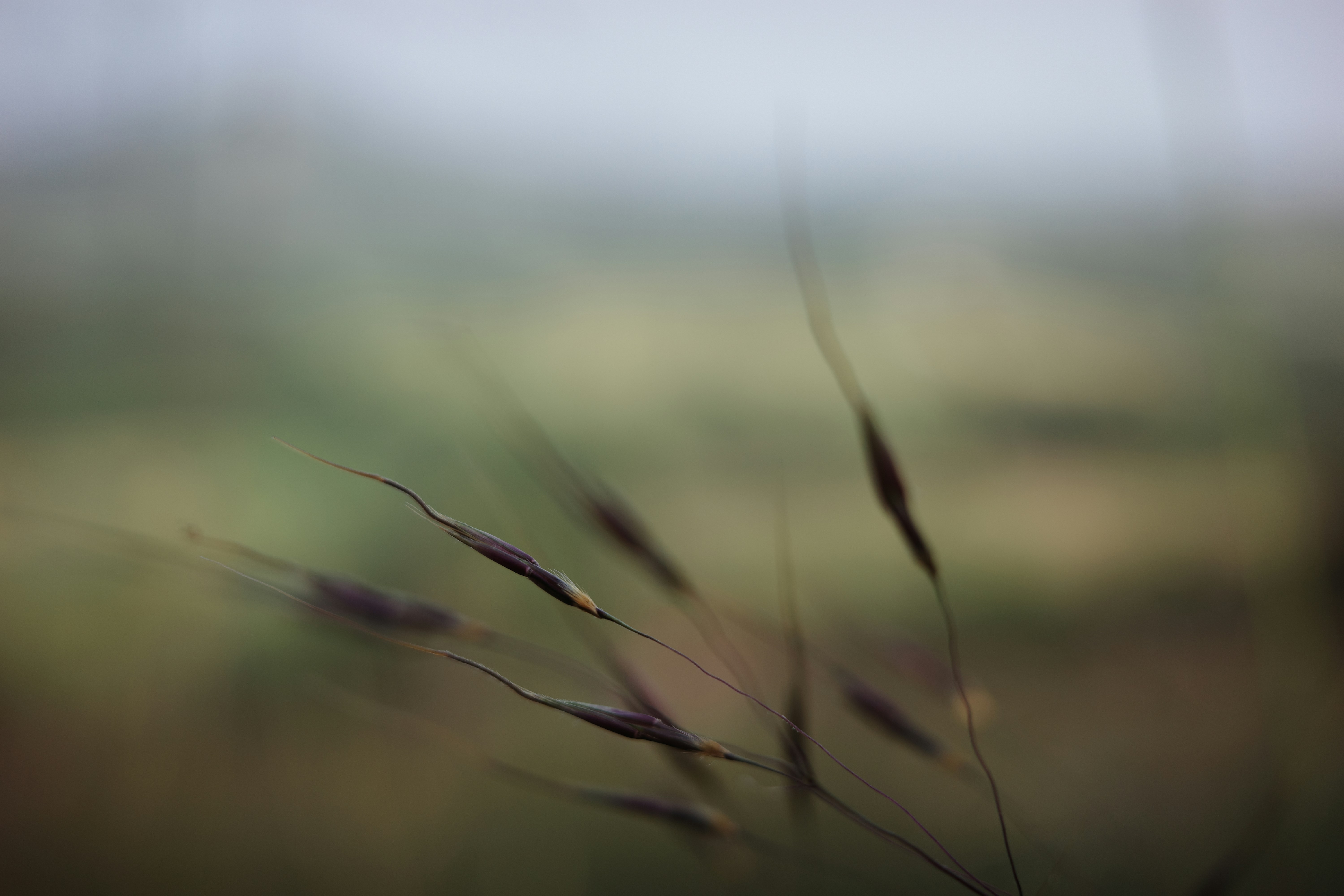 Photo by dmitrii_filatov