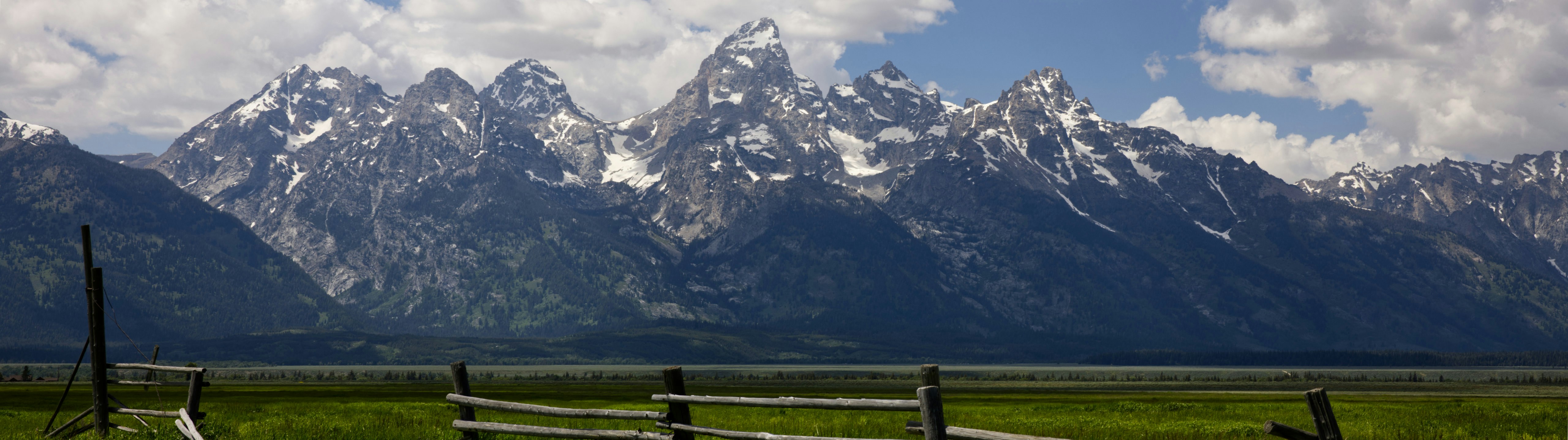 柵と山を背景にした畑