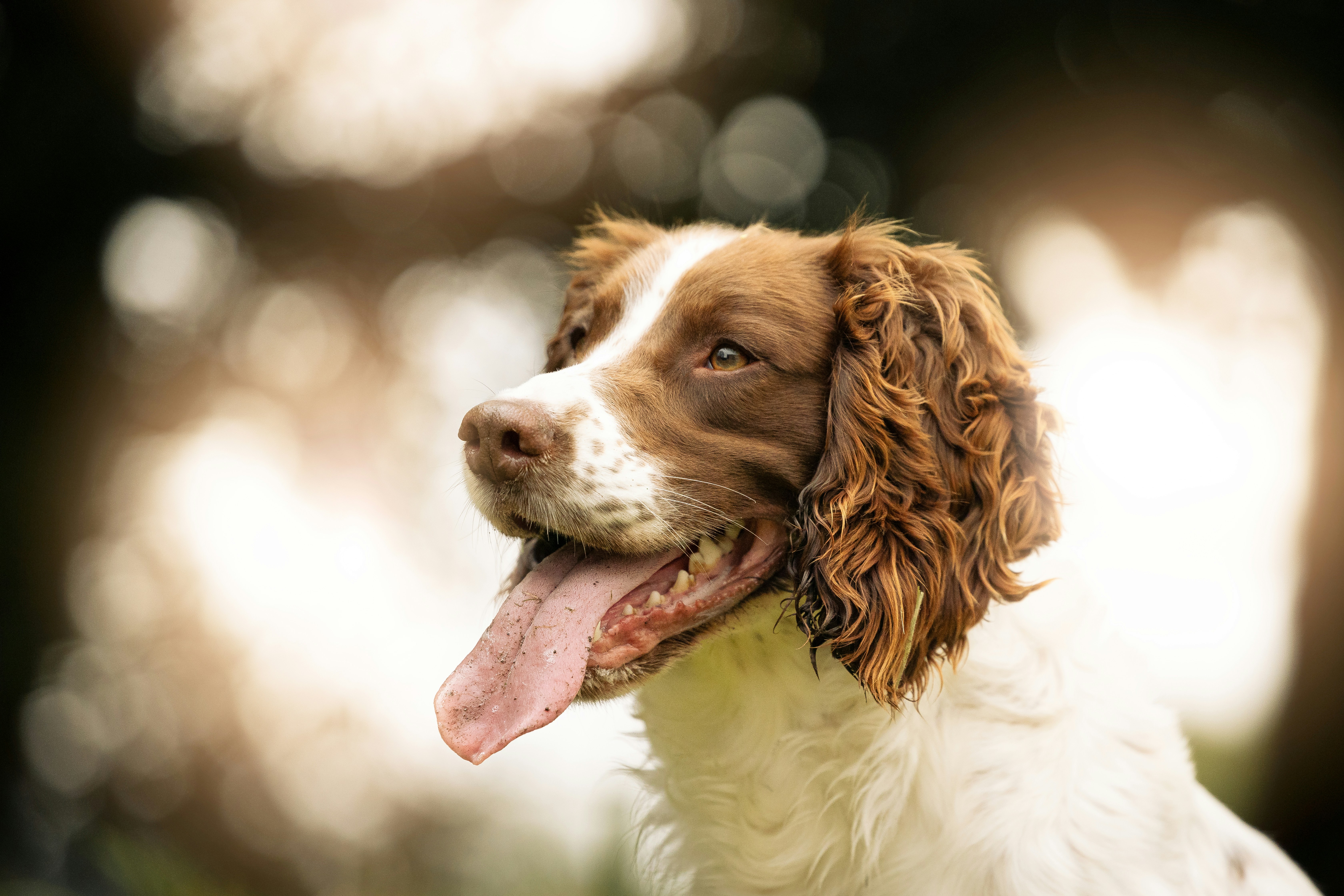 Photo by domheartley