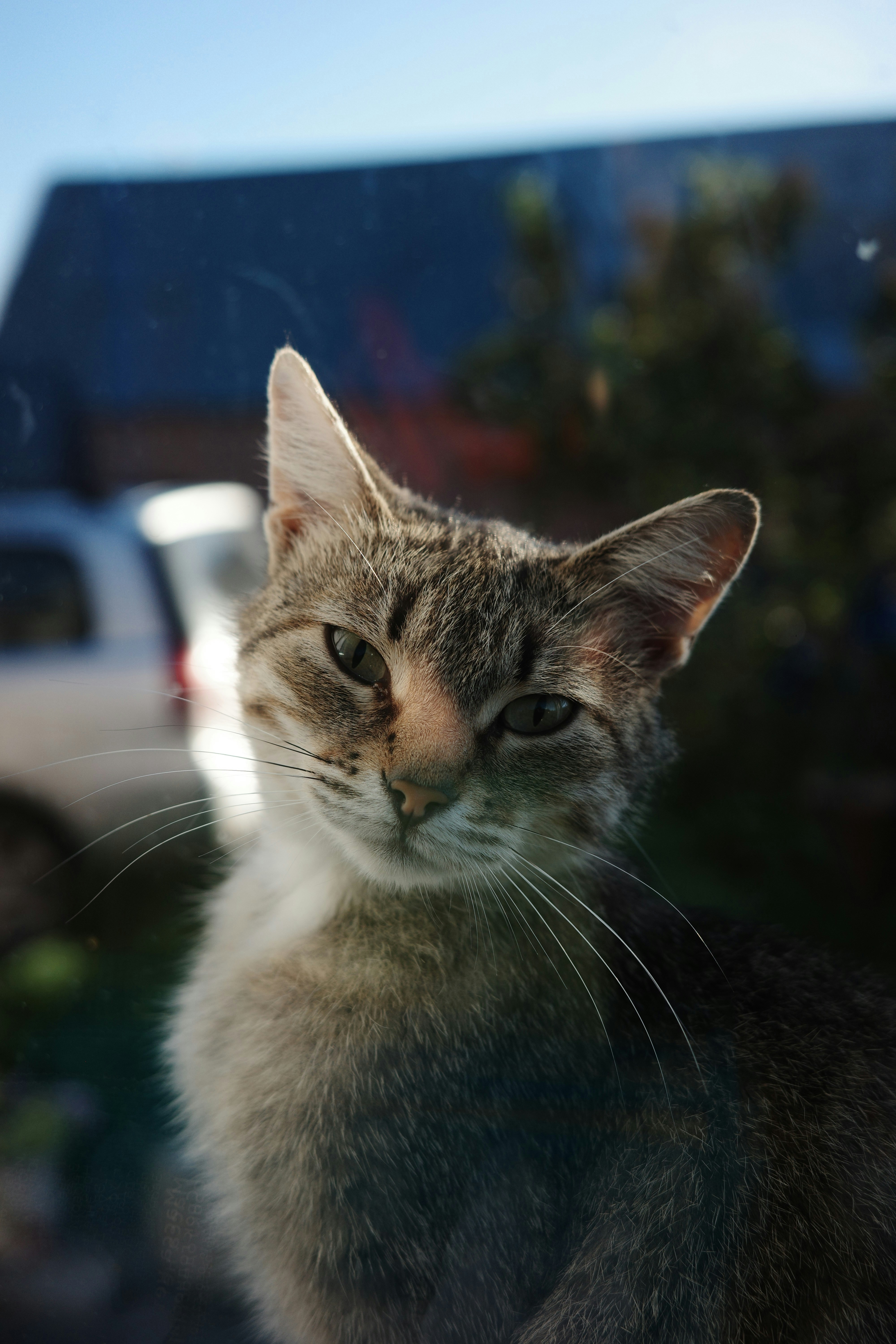 Photo by dmitrii_filatov