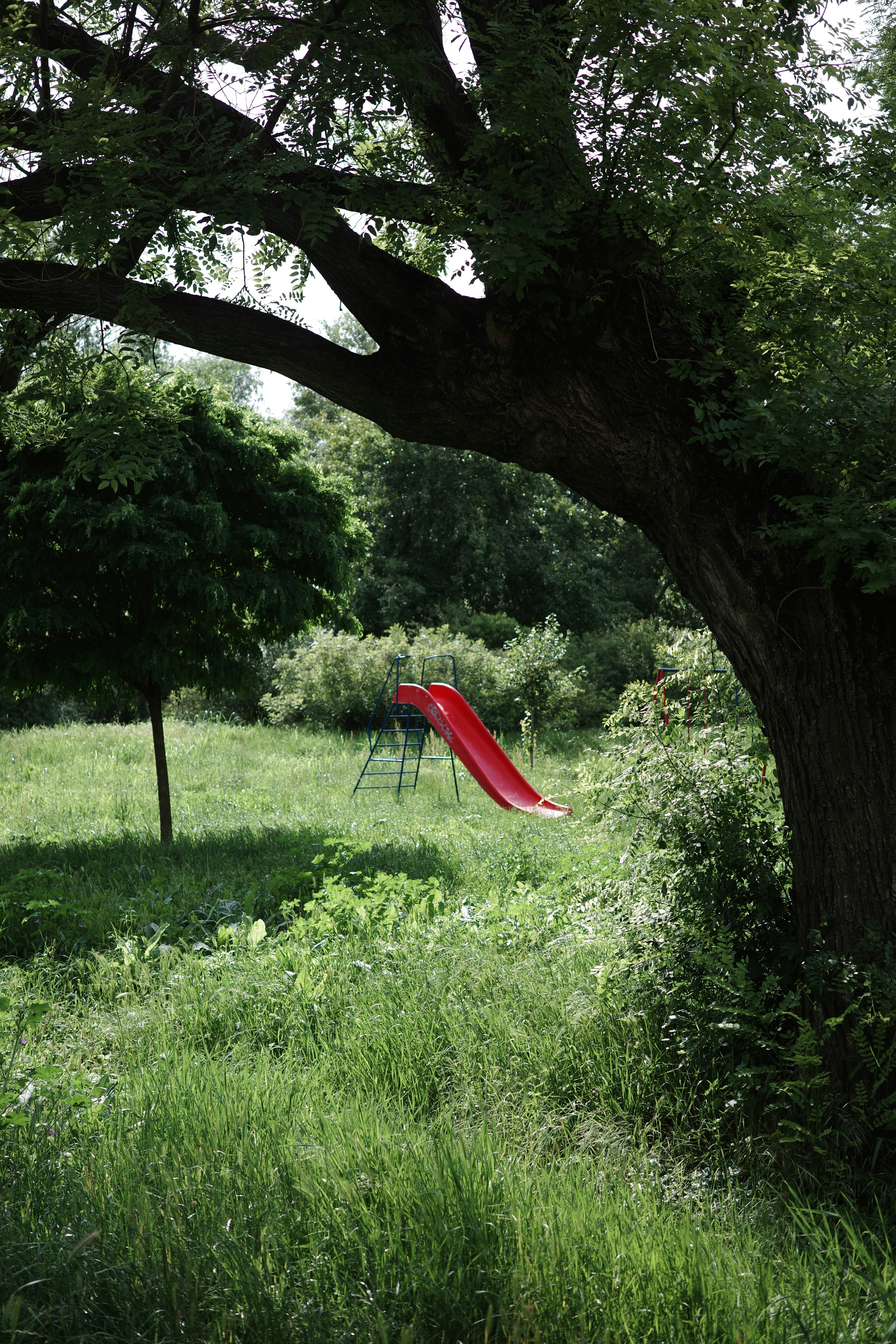 A red slide in the middle of a grassy field