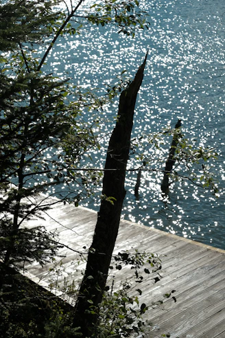 A person on a surfboard in the water