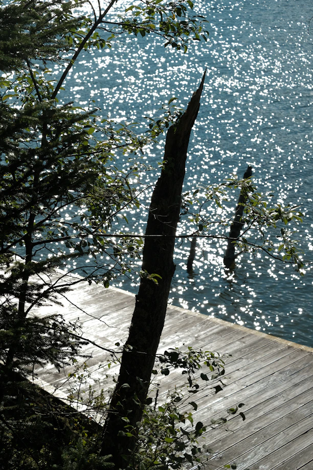 A person on a surfboard in the water