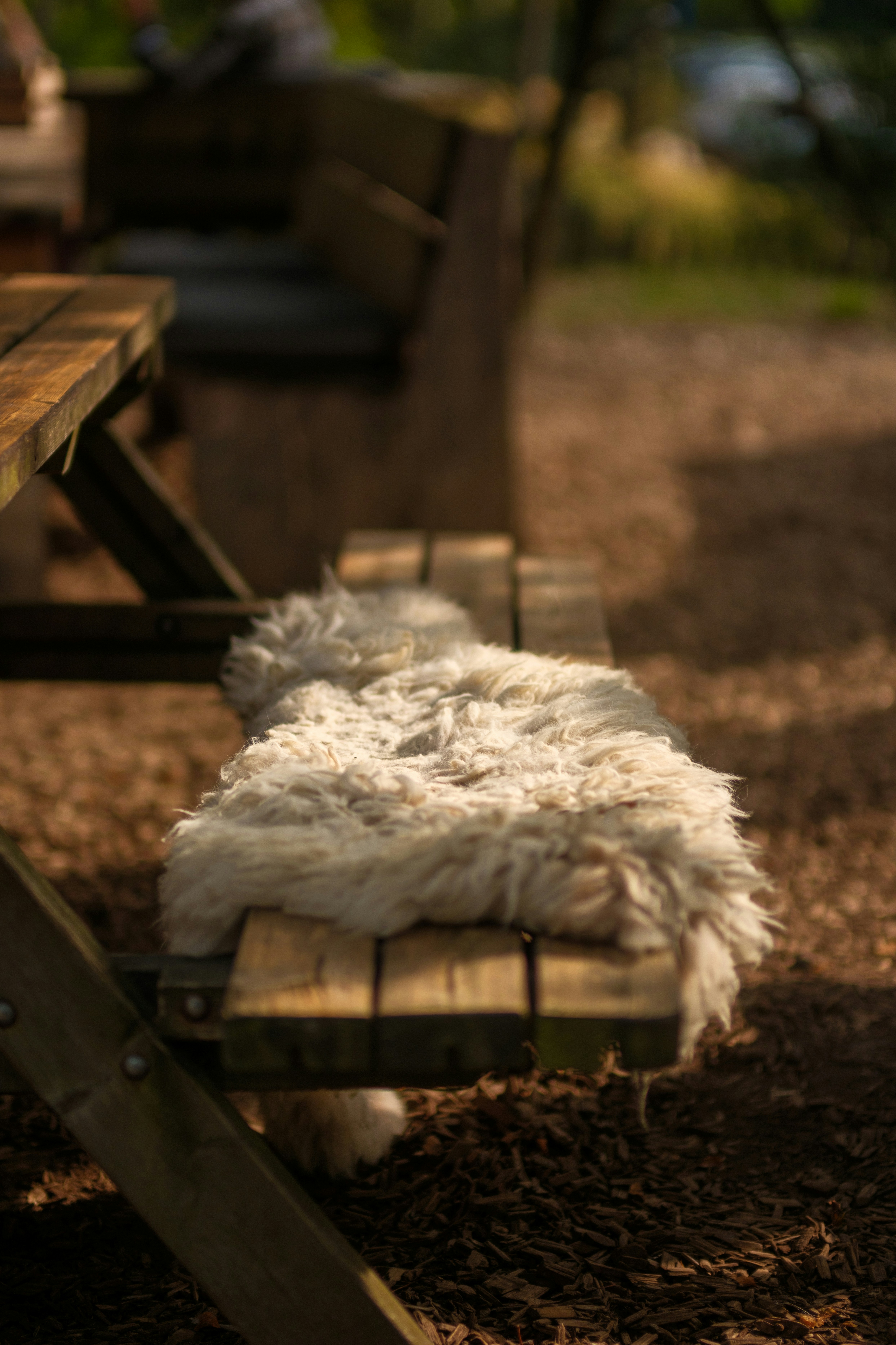 Ein Schaf, das sich auf eine Bank legt
