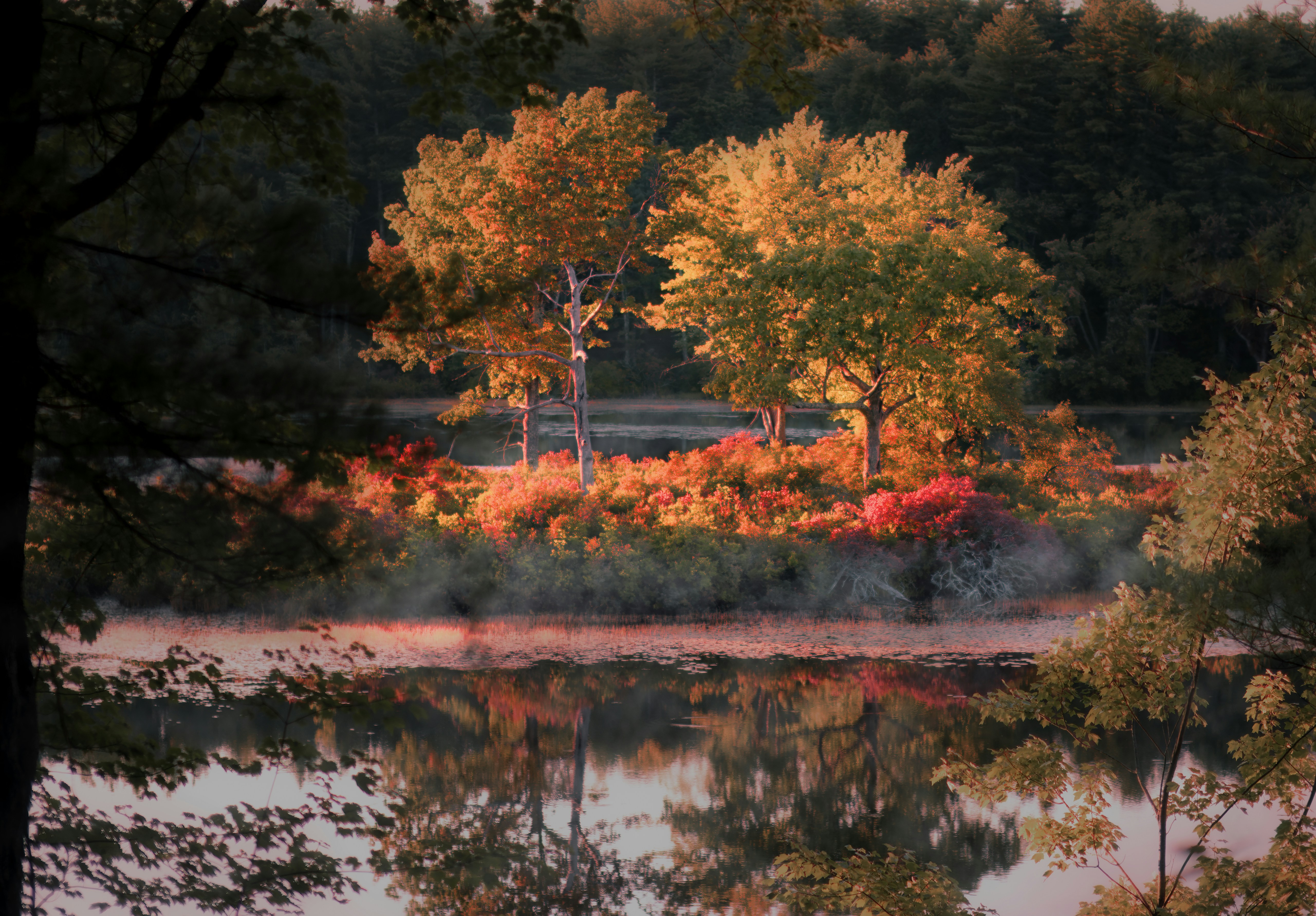 Photo by nh_landscapes