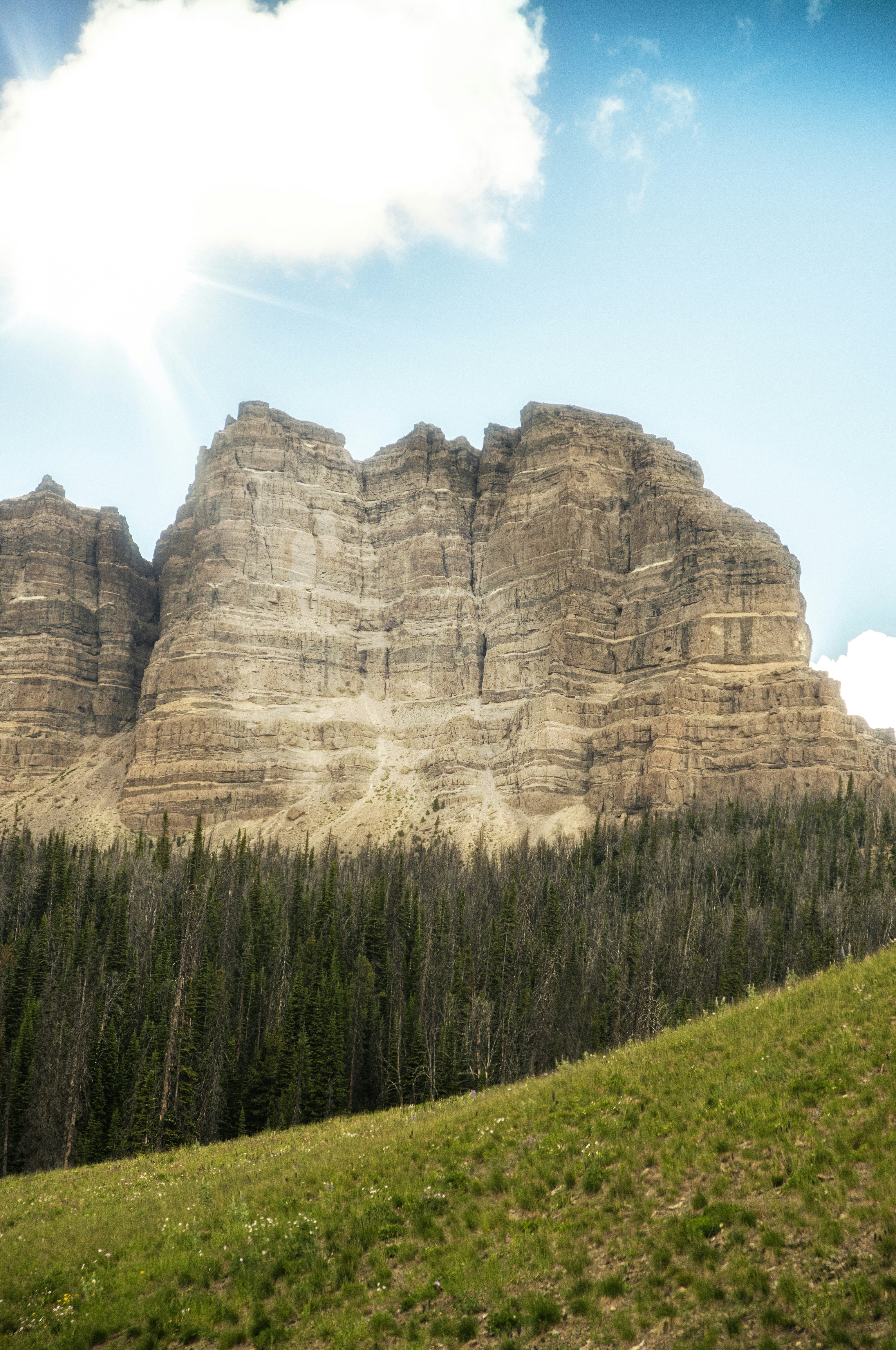 A mountain range with trees and grass on a sunny day