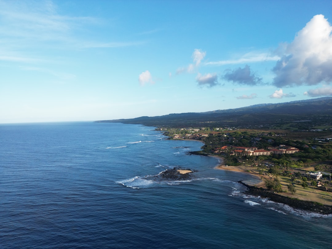 An aerial view of a beach and ocean,
