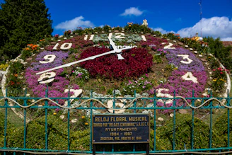 A large flower clock in the middle of a park