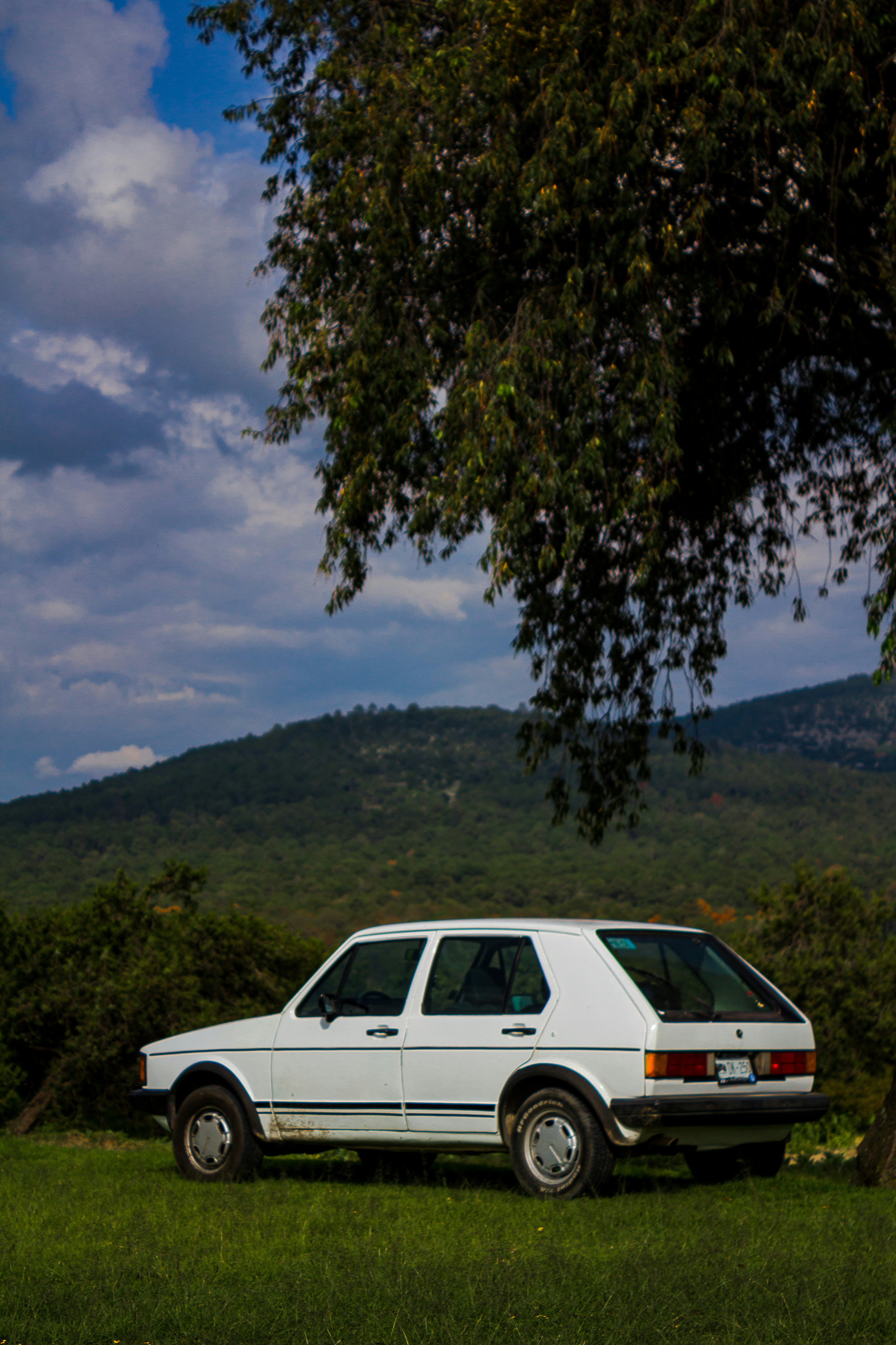 Photo by thalittlemarc