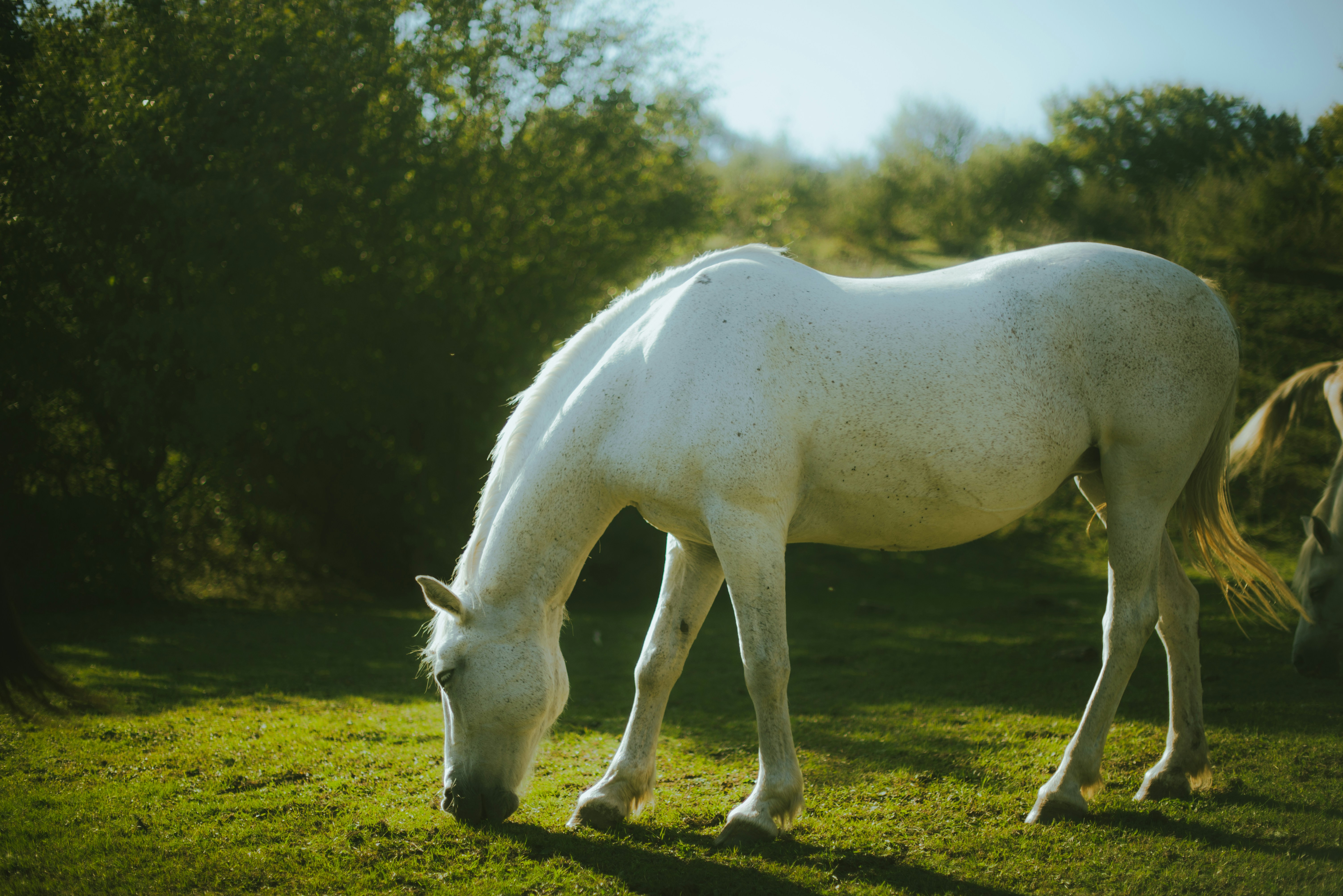 Photo by thedoublebi