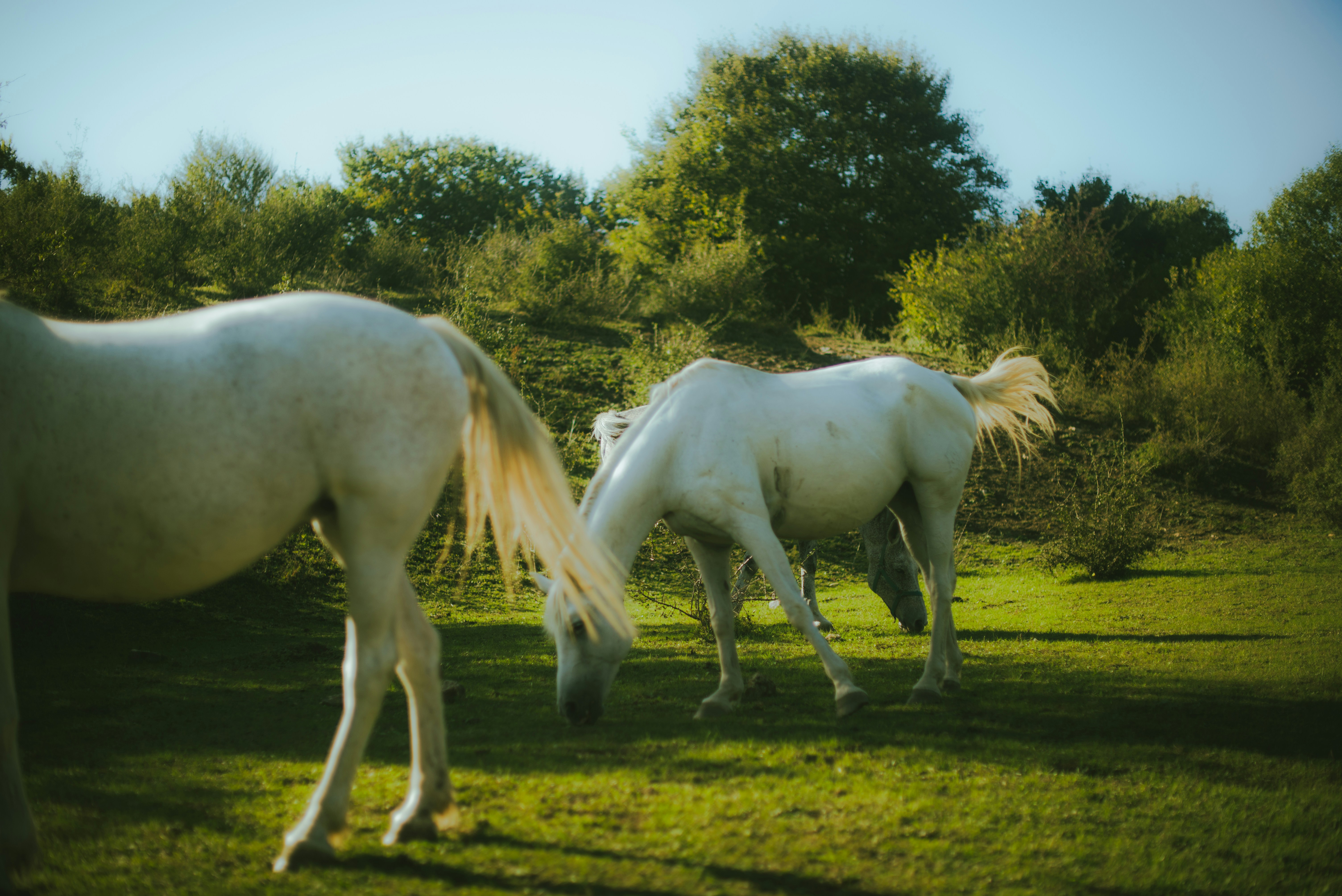 Photo by thedoublebi