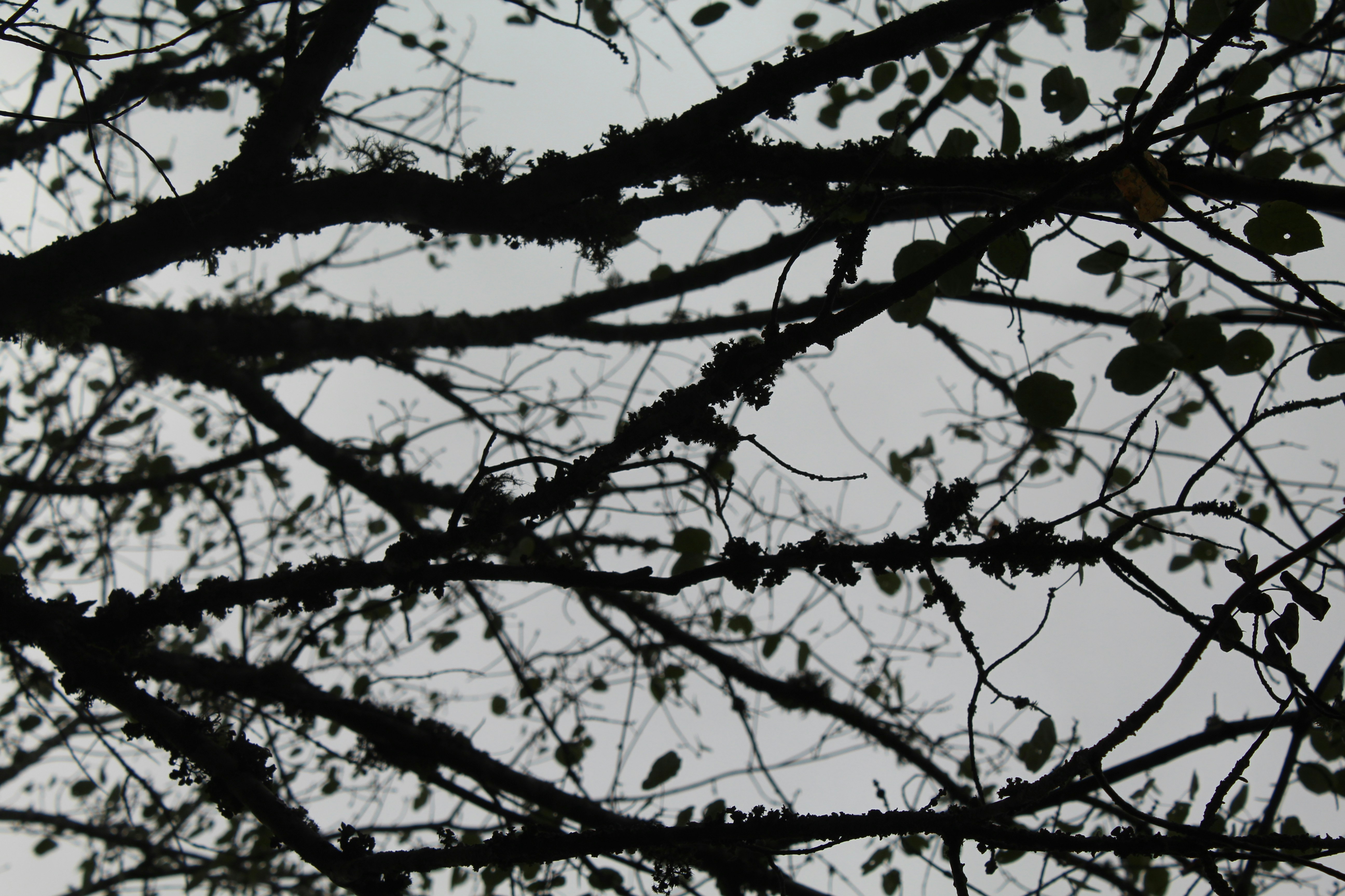 Photo by laura_borman