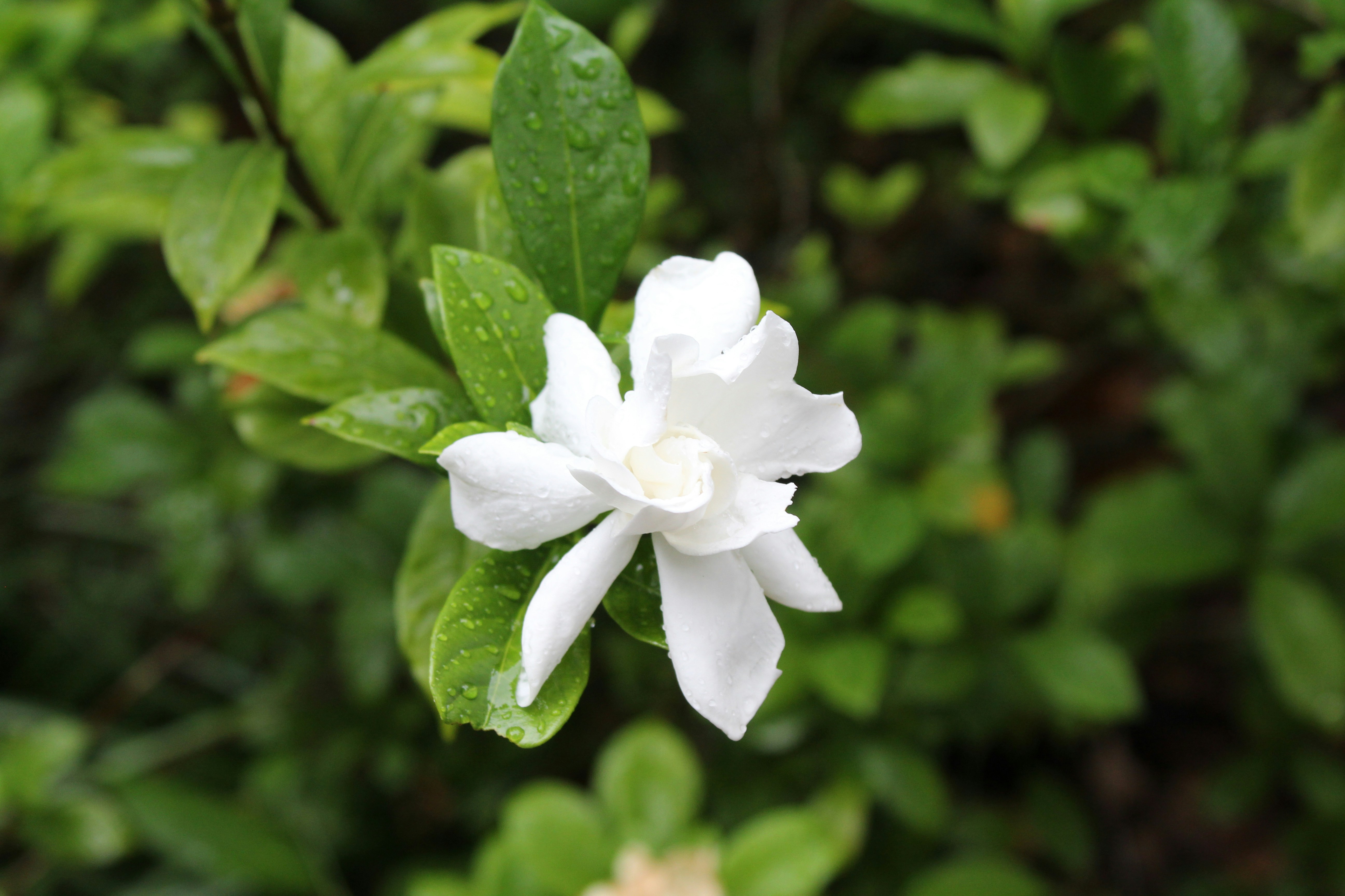 Photo by laura_borman