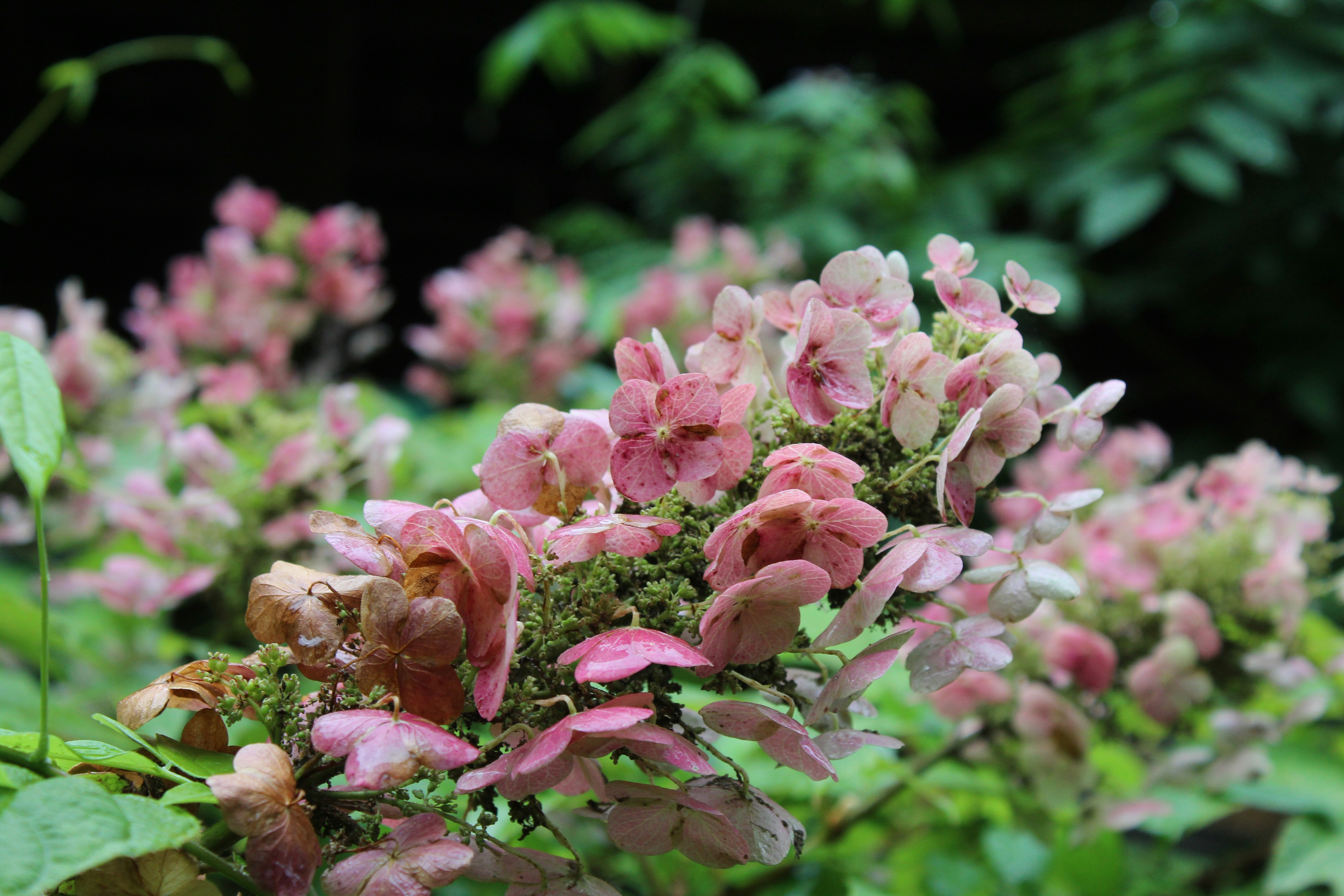 Photo by laura_borman