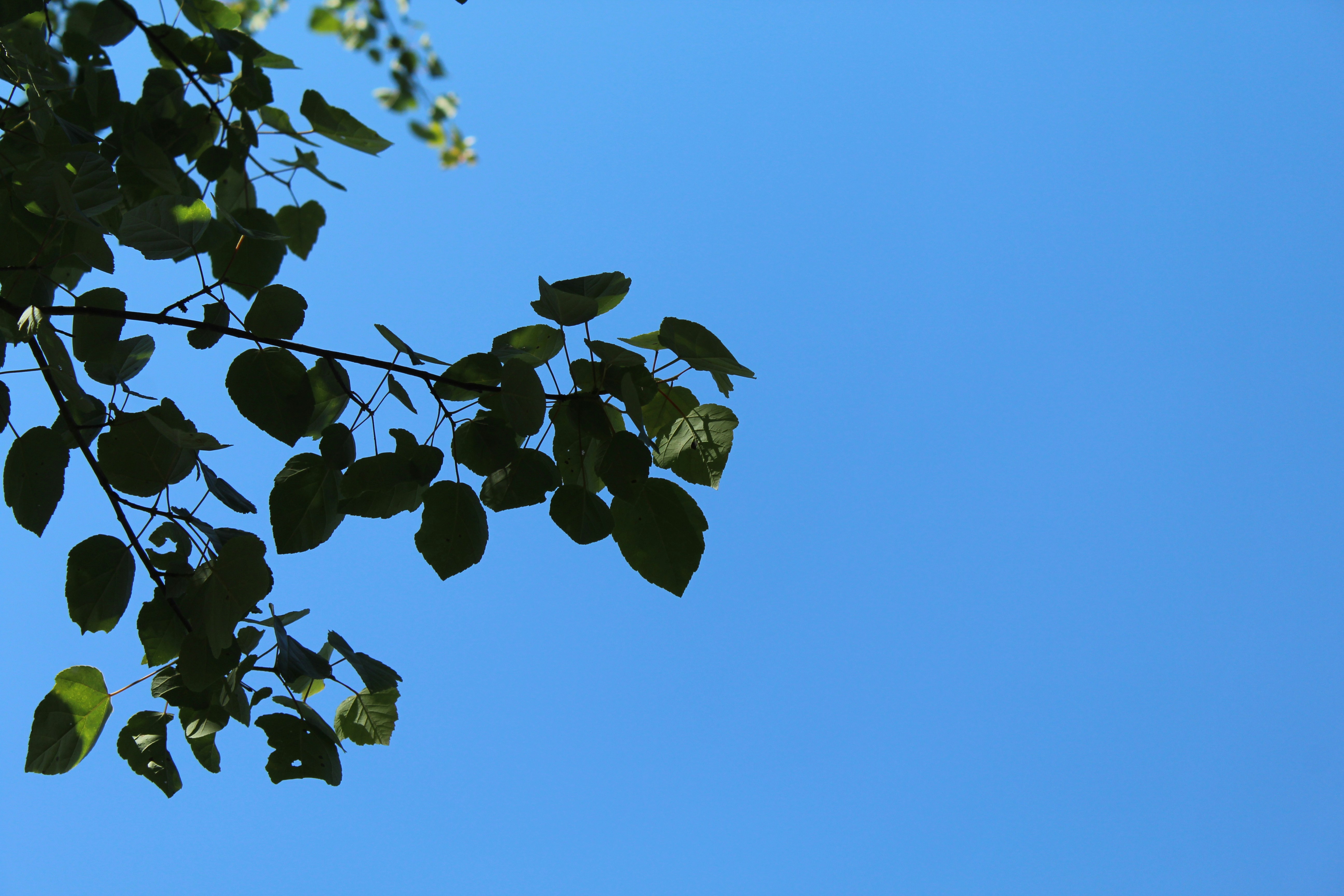 Photo by laura_borman