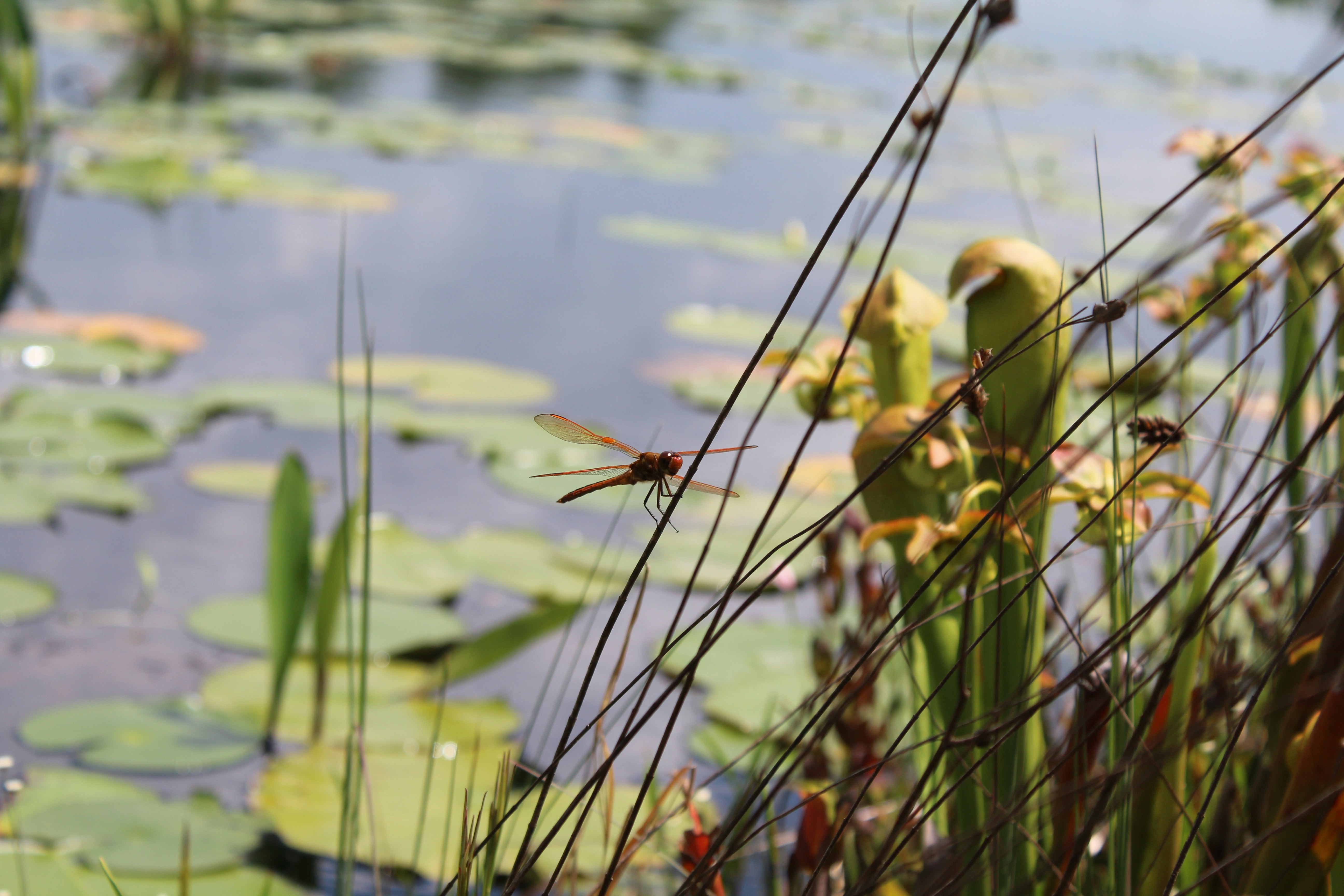 Photo by laura_borman