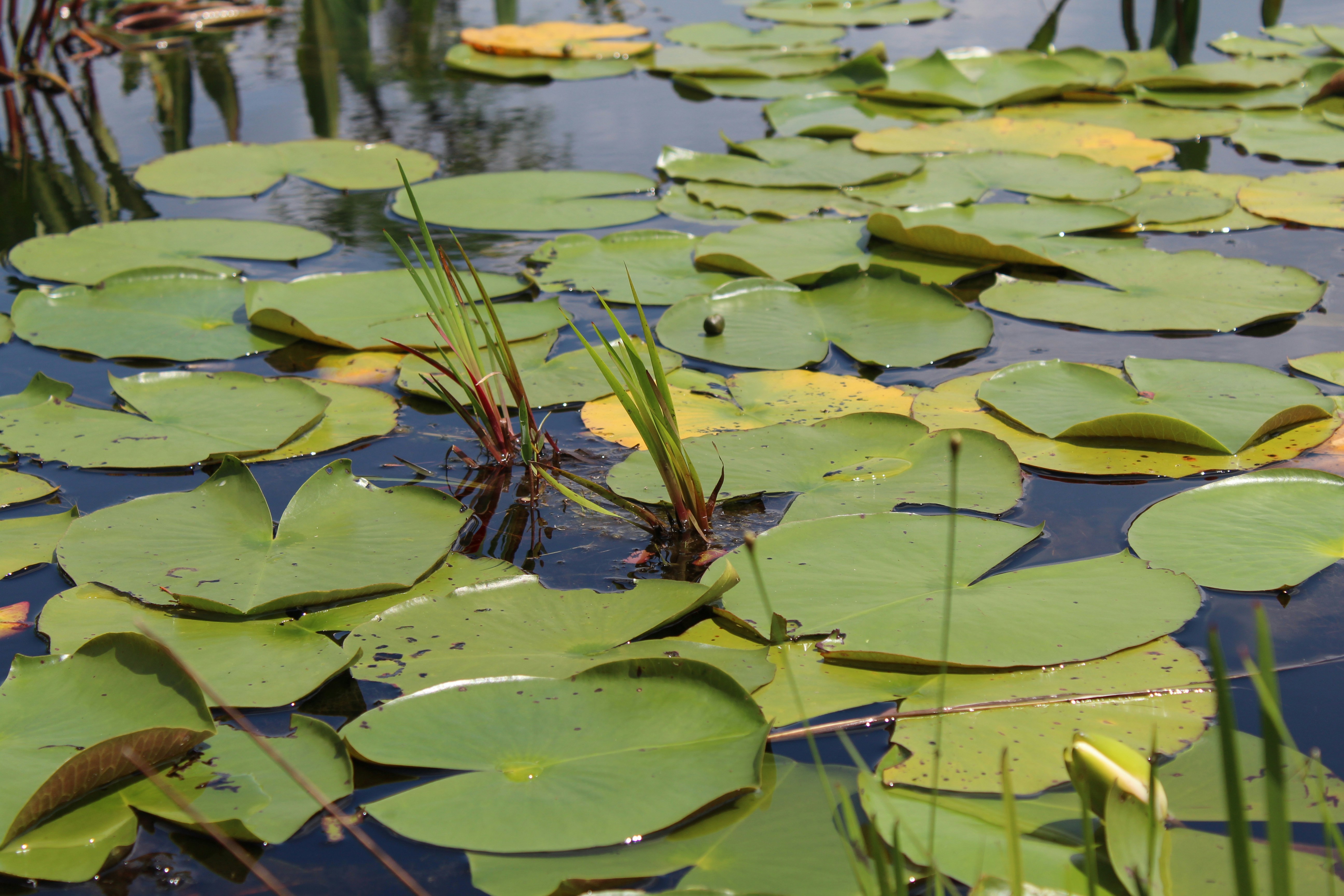 Photo by laura_borman