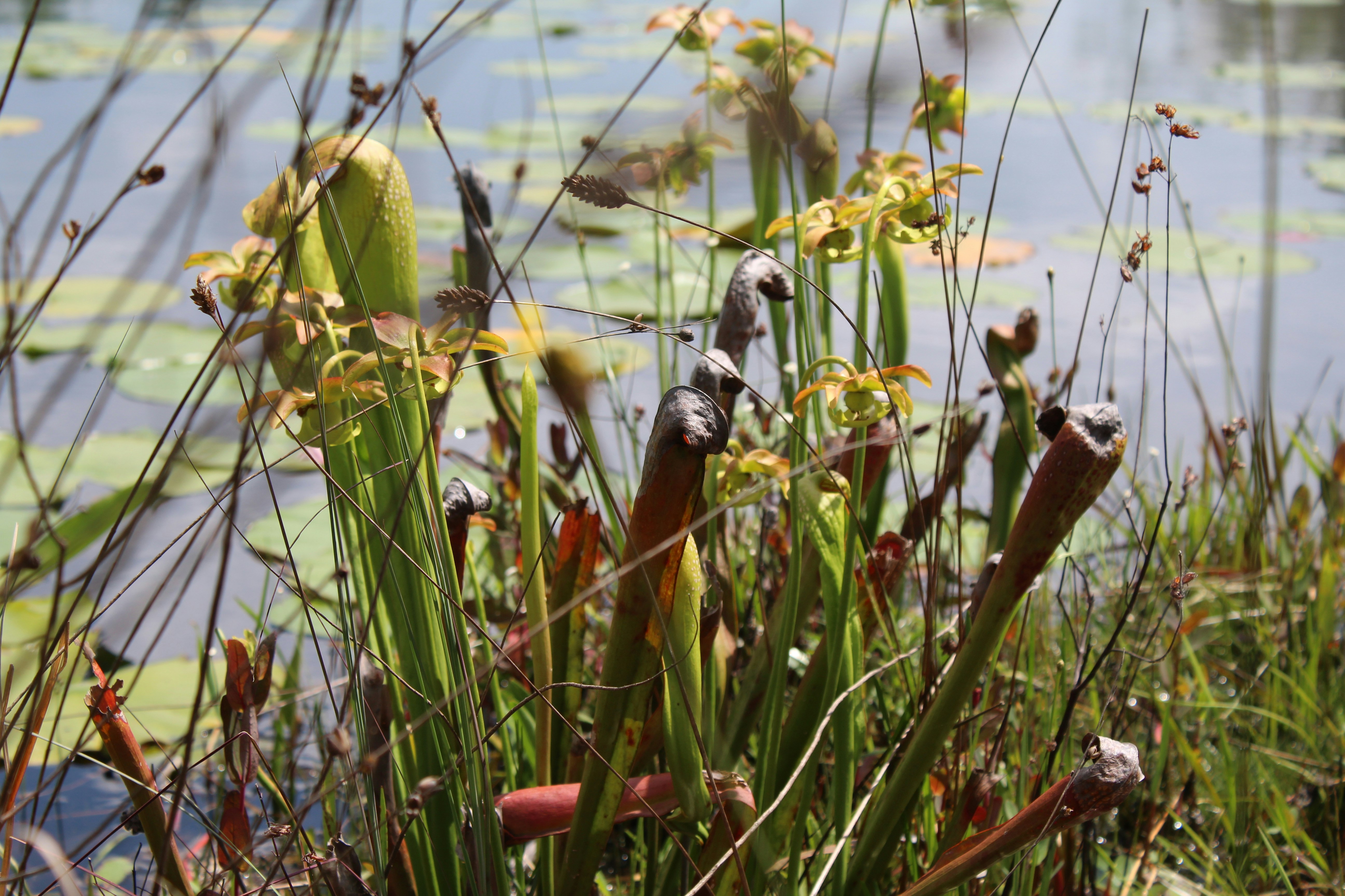 Photo by laura_borman