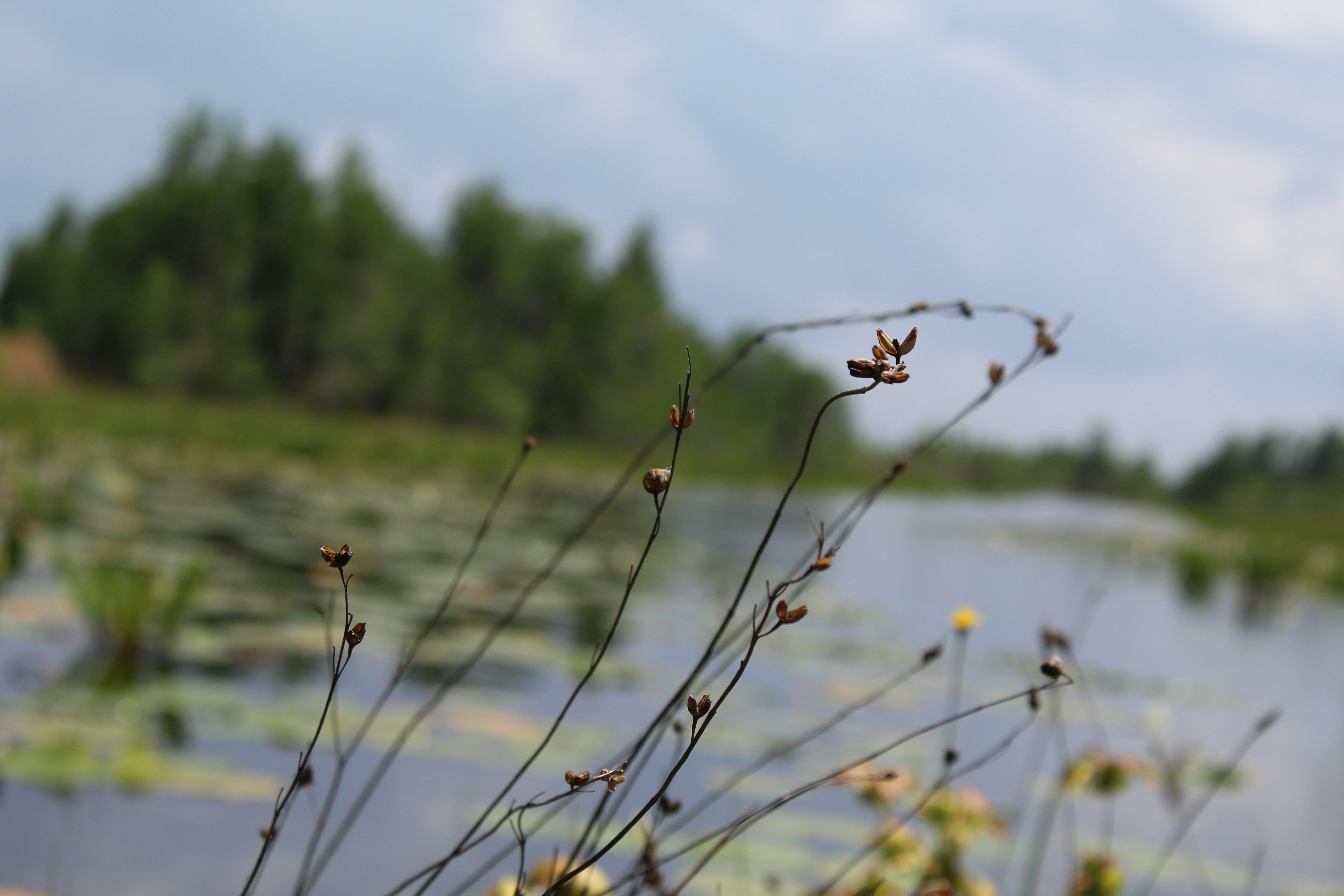 Photo by laura_borman